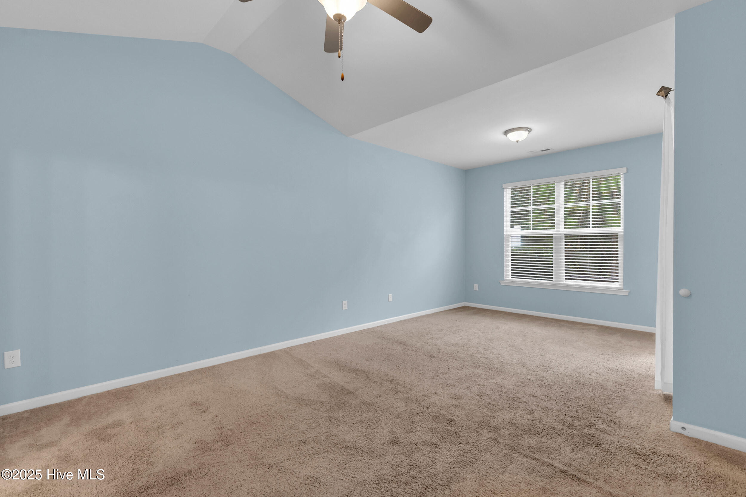 100546180 | Photo 12