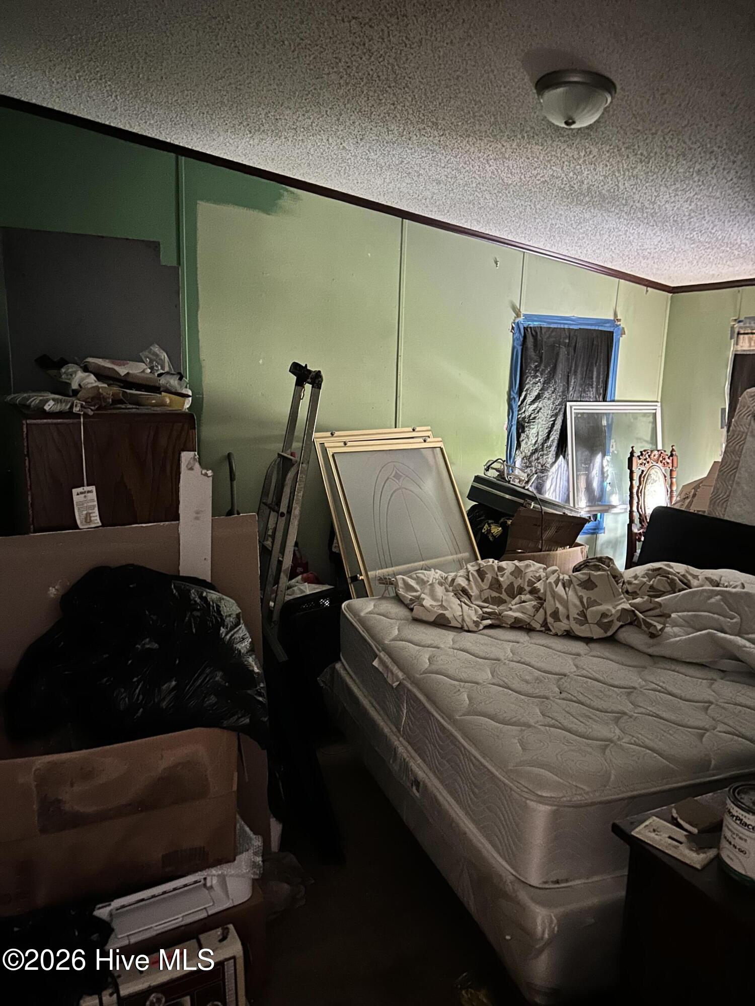 100562570 | Photo 11