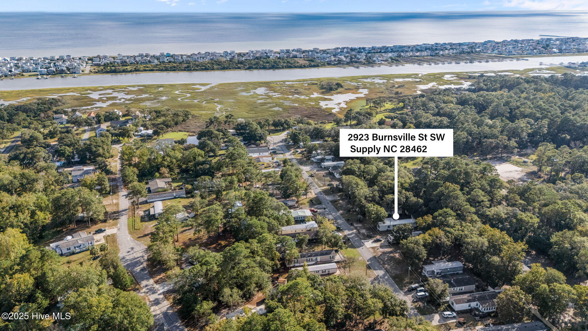 100536142 | Photo 21