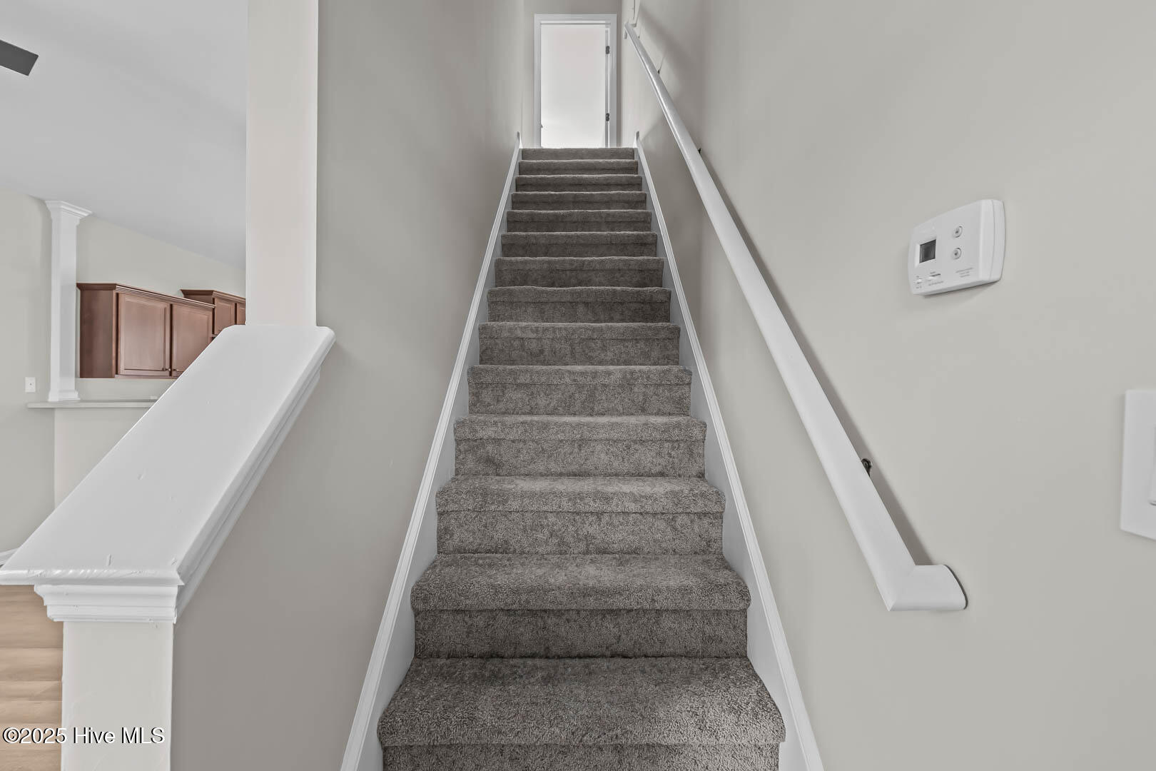 100522857 | Photo 11