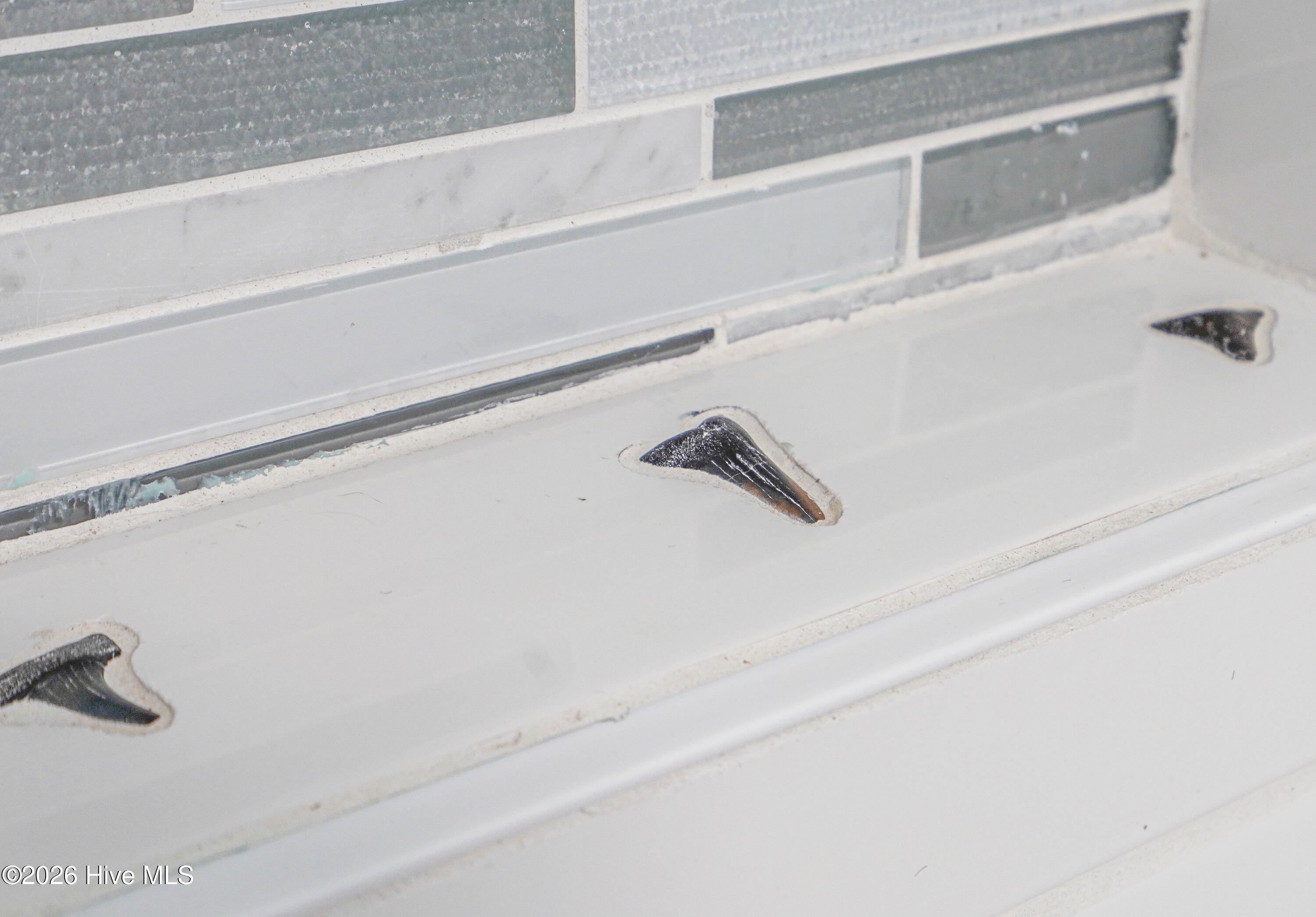 100559140 | Photo 32