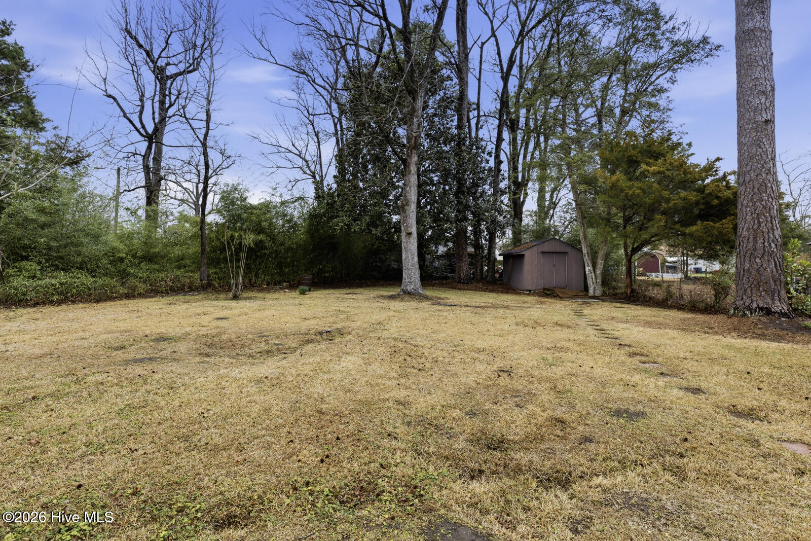 100558769 | Photo 26