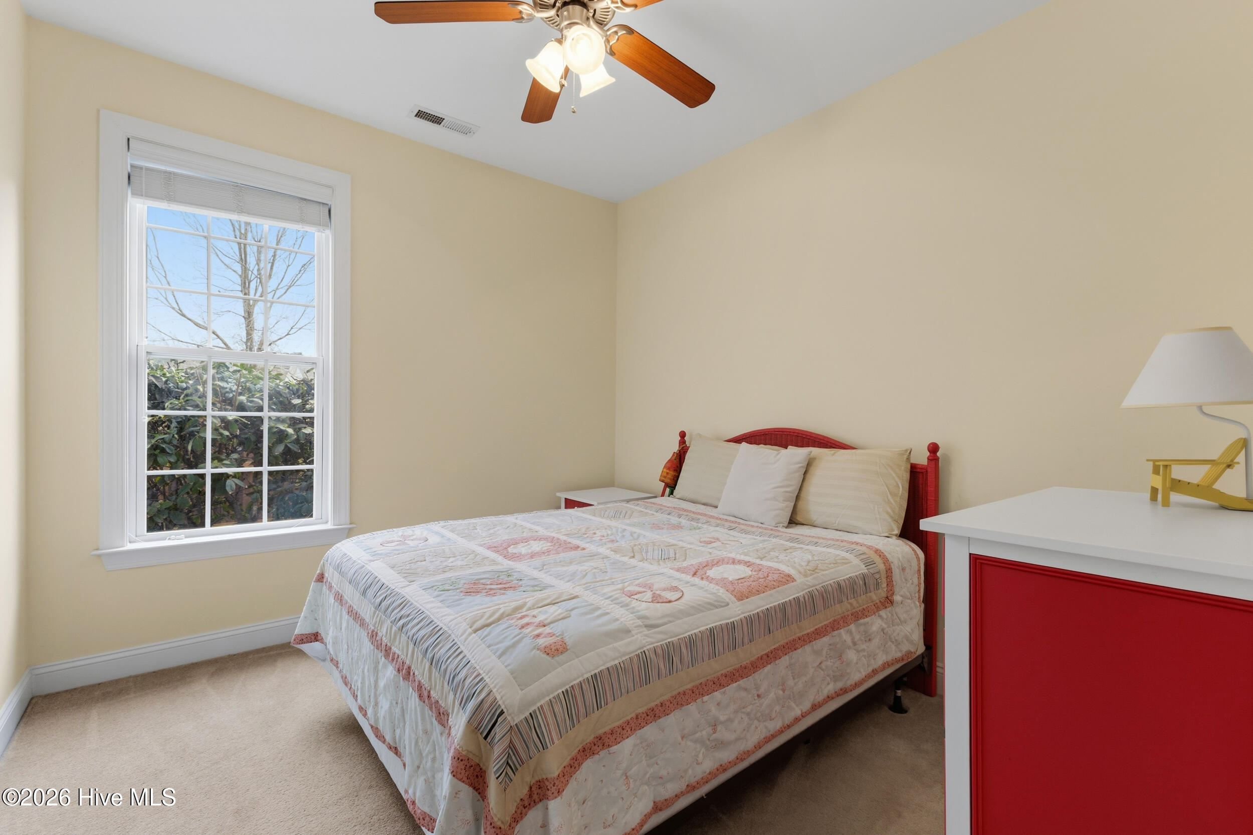 100557149 | Photo 30