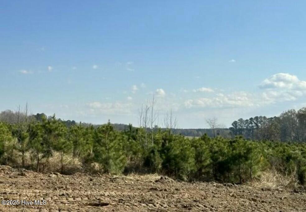 Homes for sale in Spring Hope, NC | Lot 2 Sheep Pasture Rd, Spring Hope, NC 27882 | MLS# 100488366