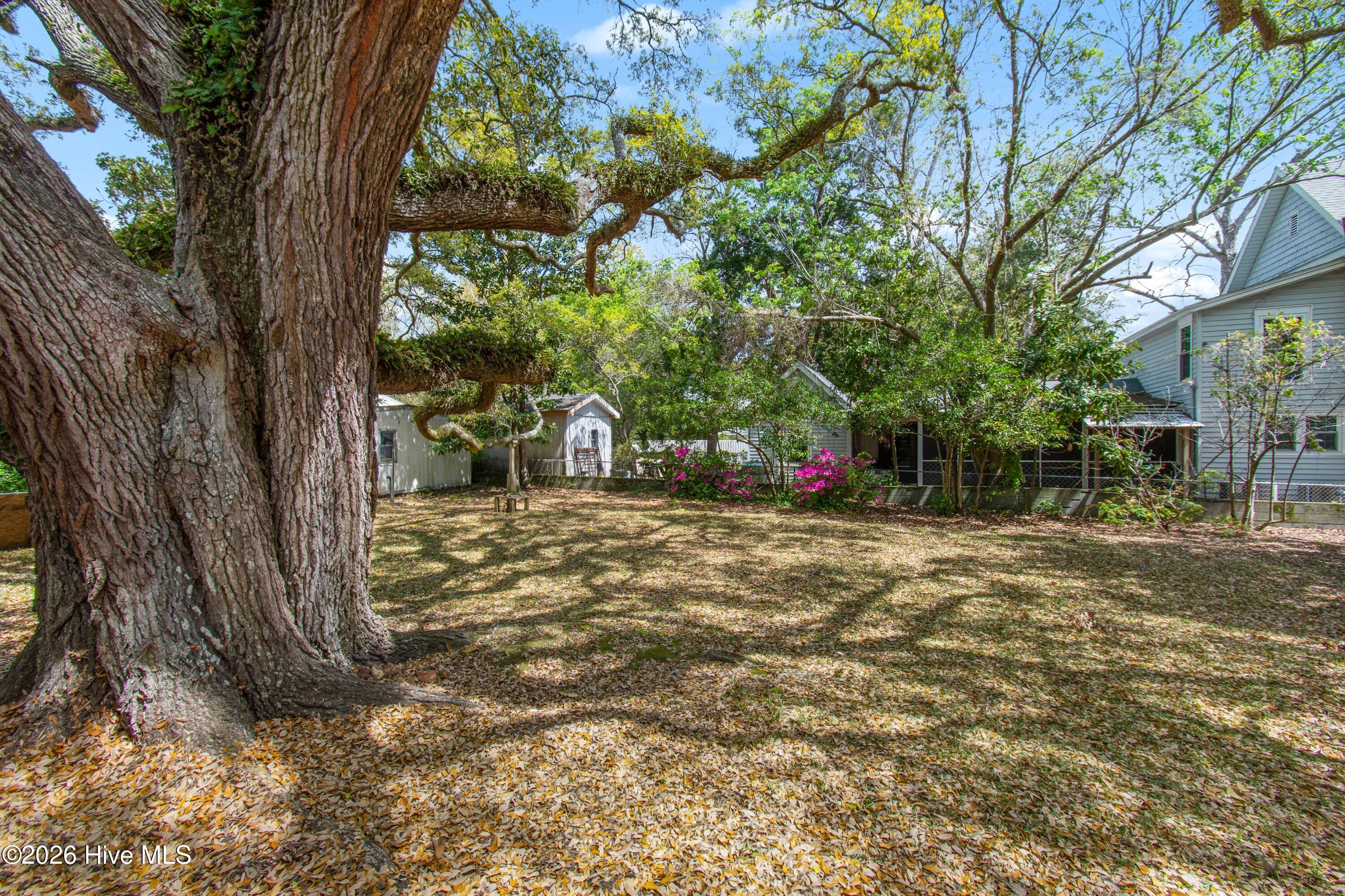 100566206 | Photo 13