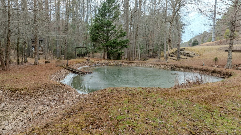 2130 Hedden Road, Murphy, NC 28906 Listing Photo  13