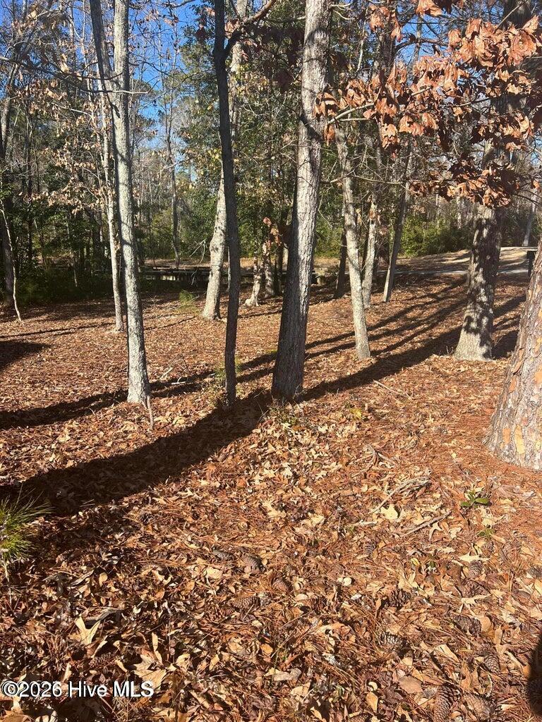 100592065 | Photo 9