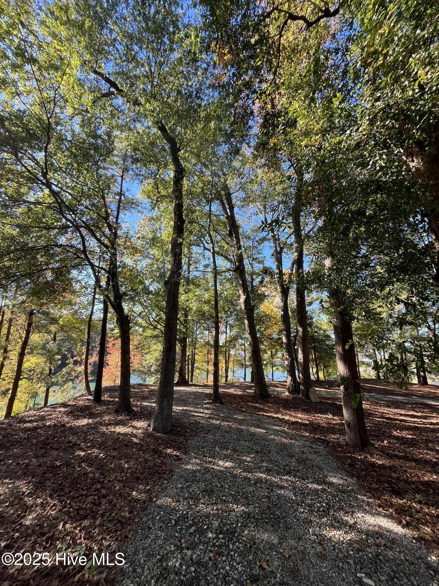 100536934 | Photo 41