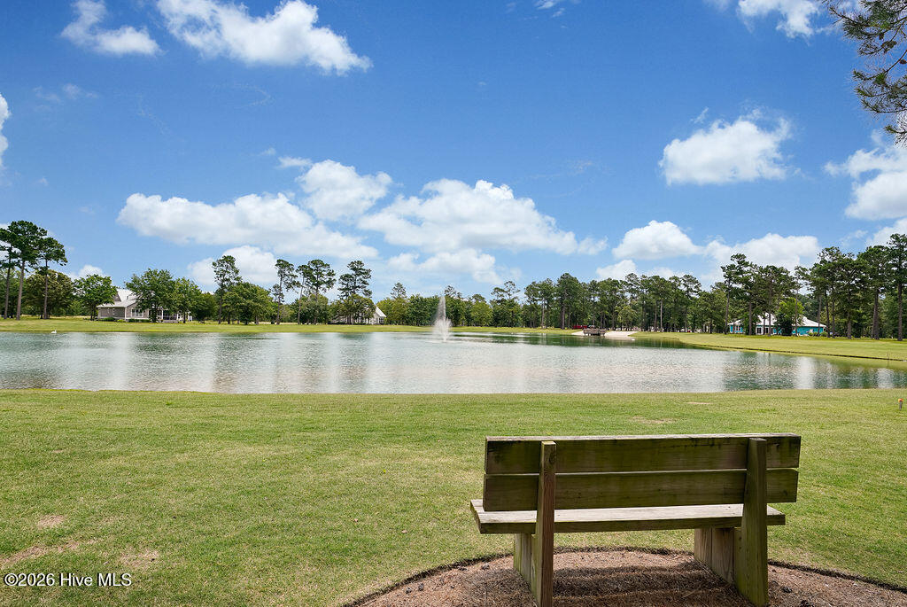 100564545 | Photo 101