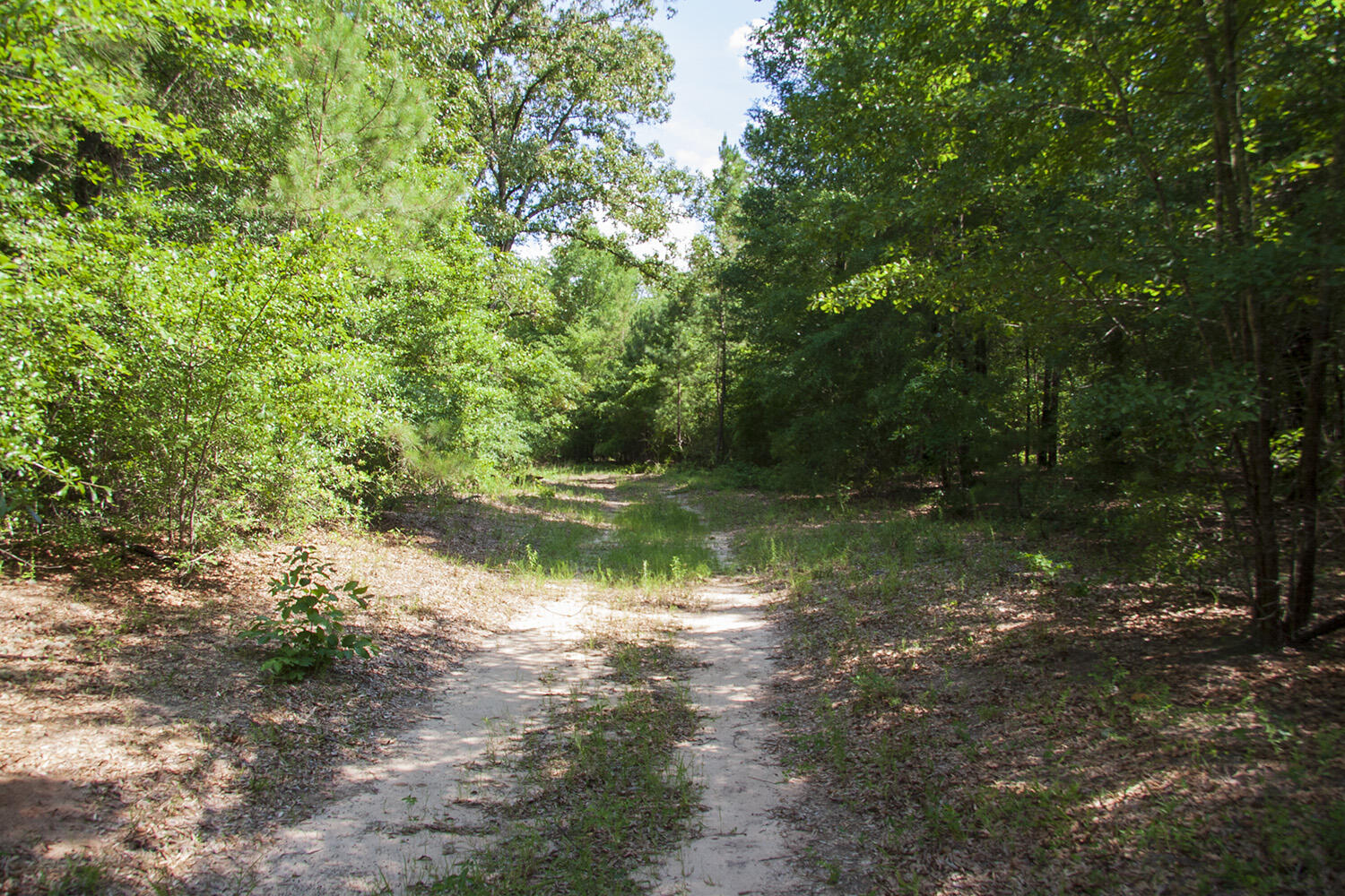 1515C HEPHZIBAH - MCBEAN Road, Hephzibah, GA, 30815