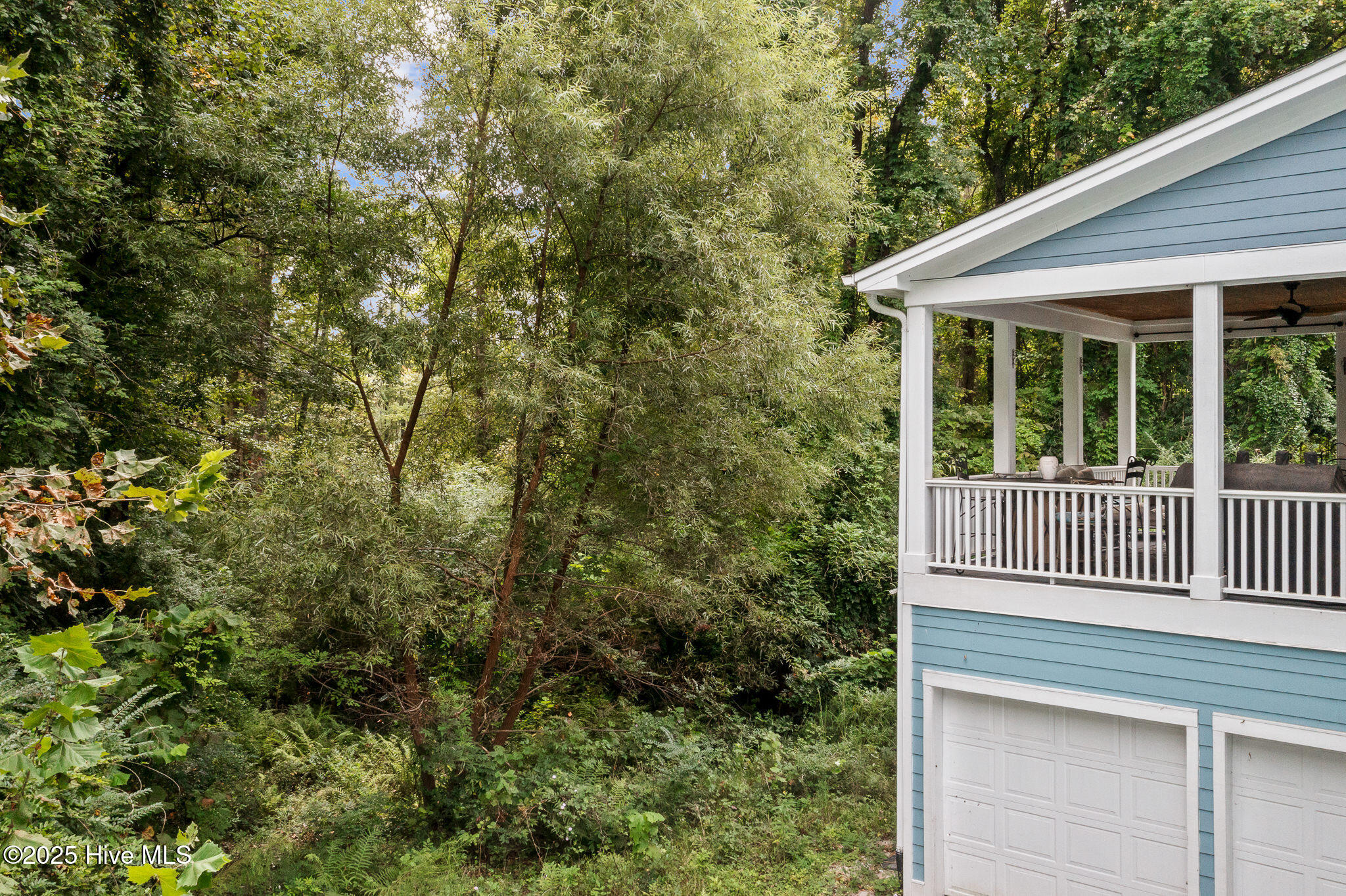 Shirley Johnson - MLS Number: 100577493