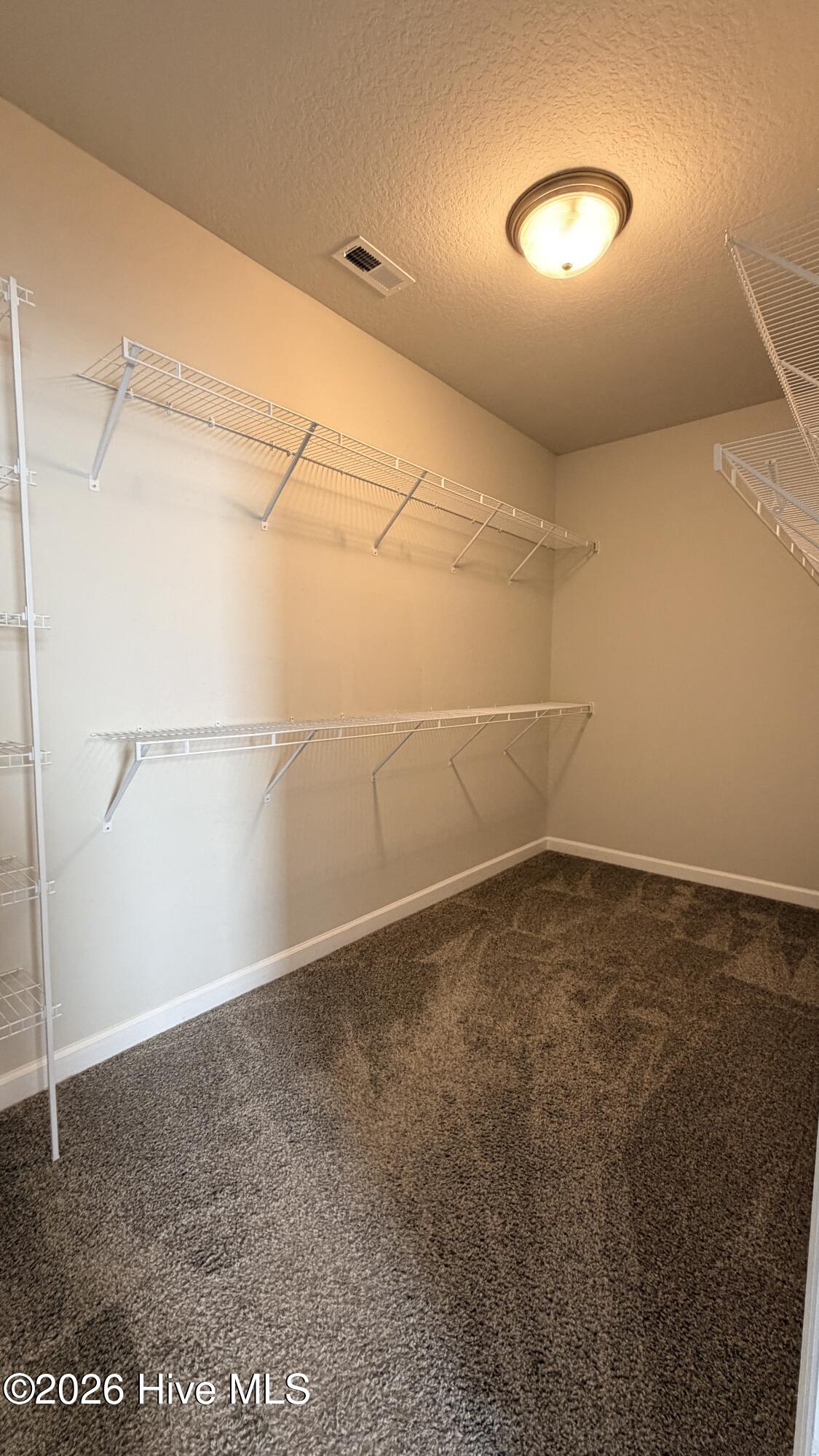 100553003 | Photo 18