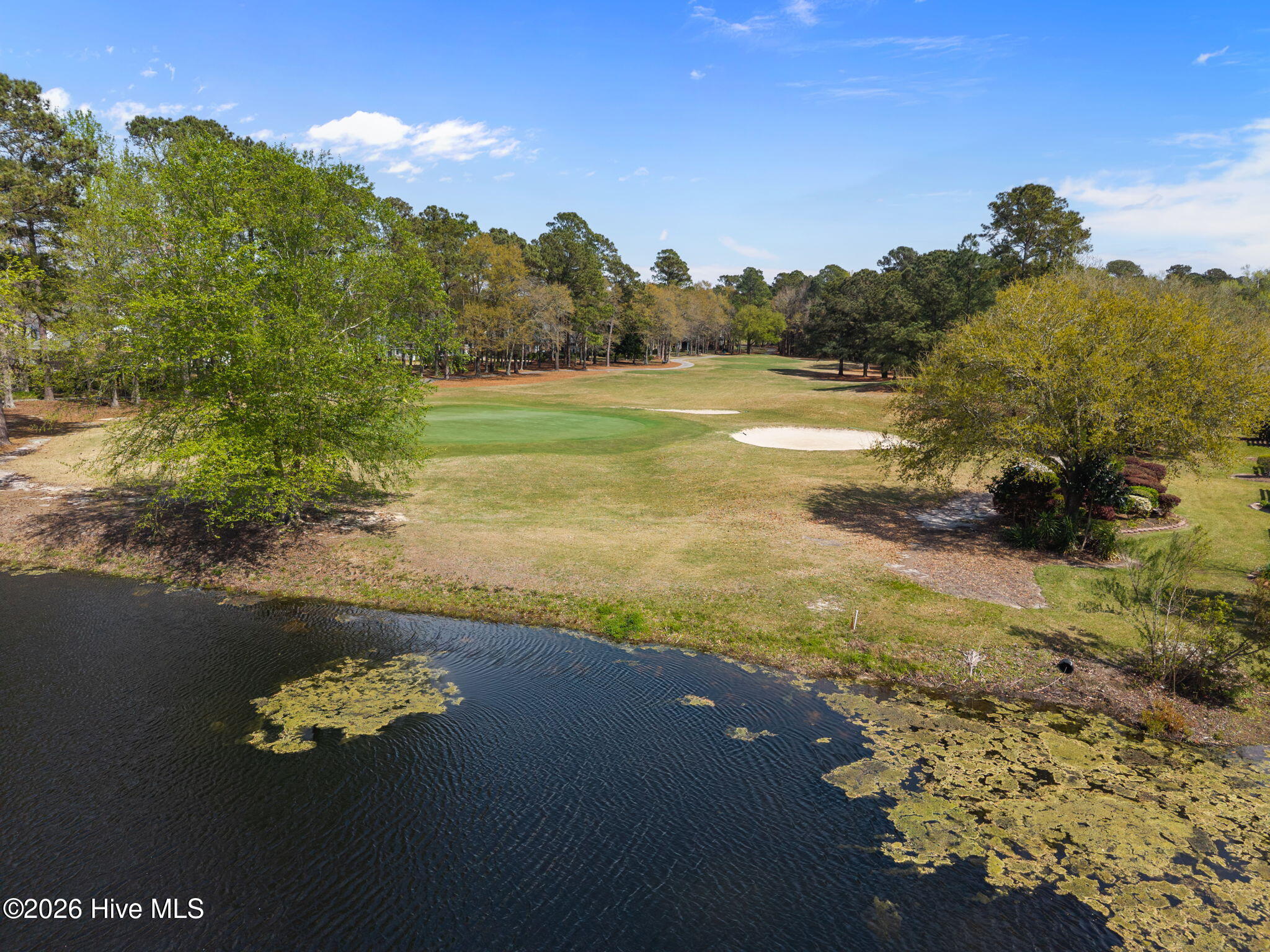 100562744 | Photo 43