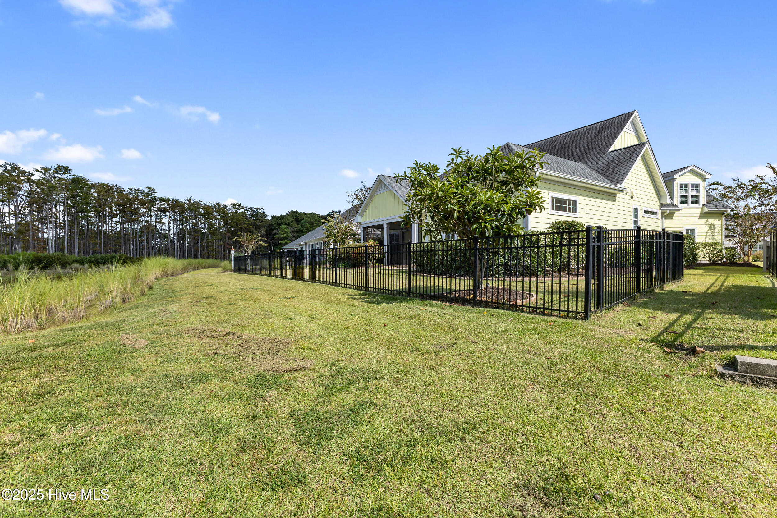 100534390 | Photo 46