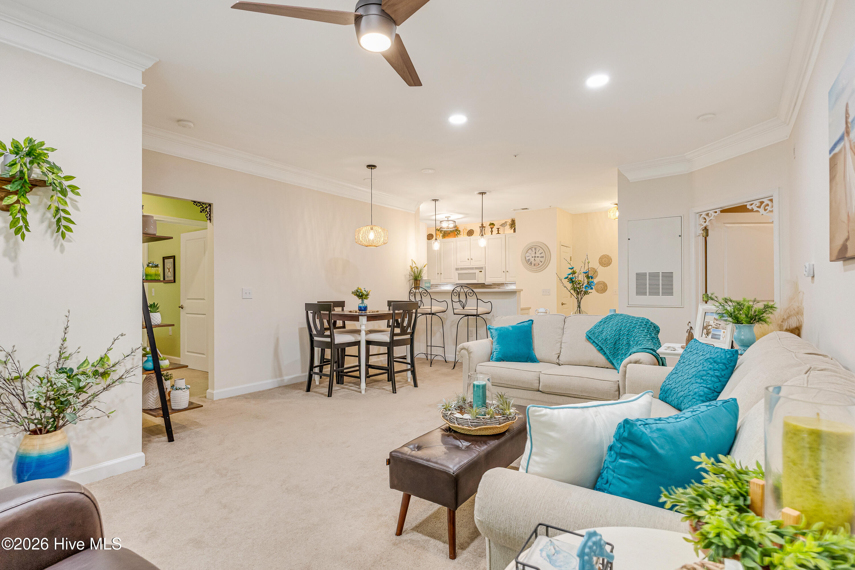 100555725 | Photo 12