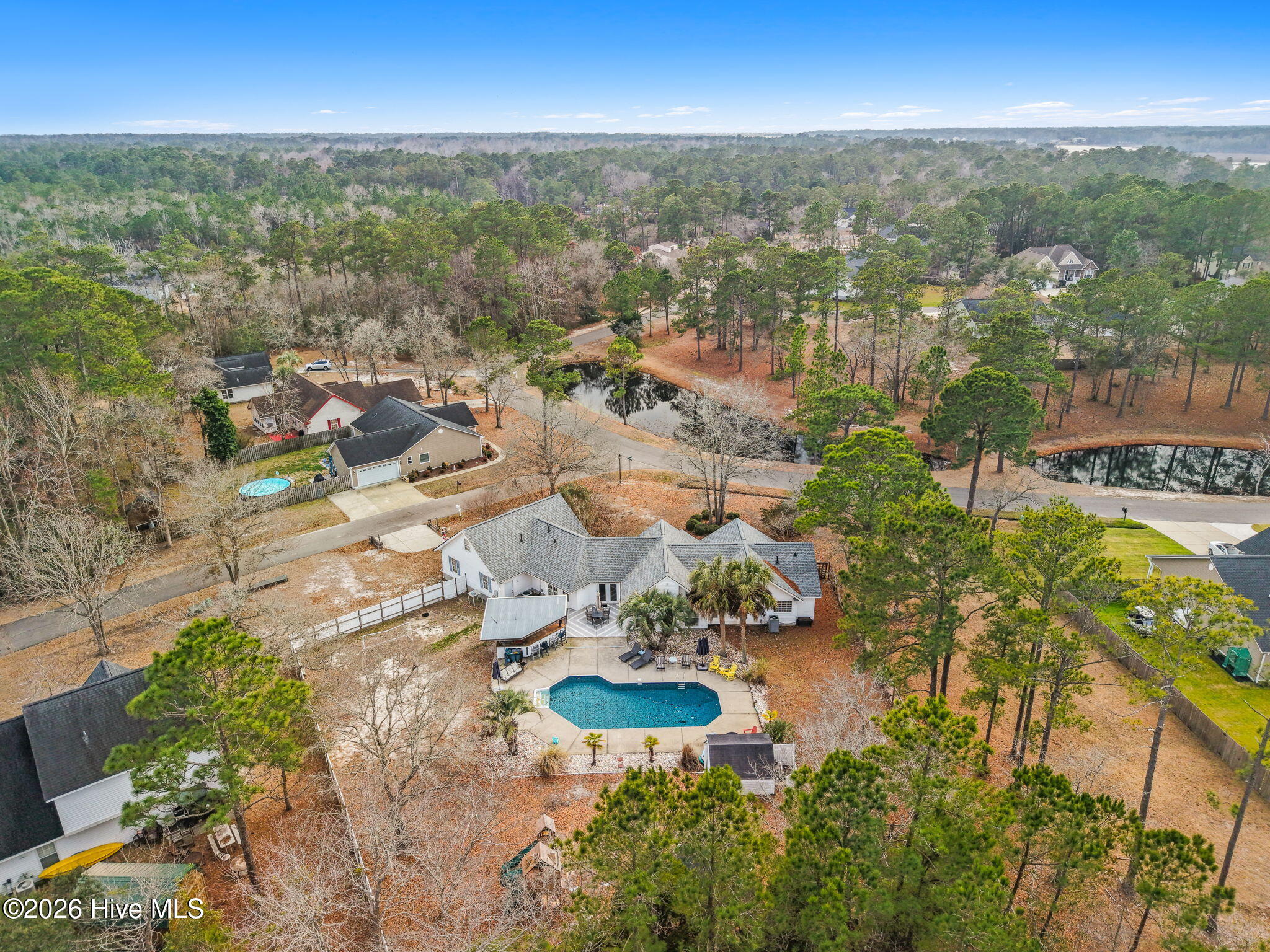 100556346 | Photo 36