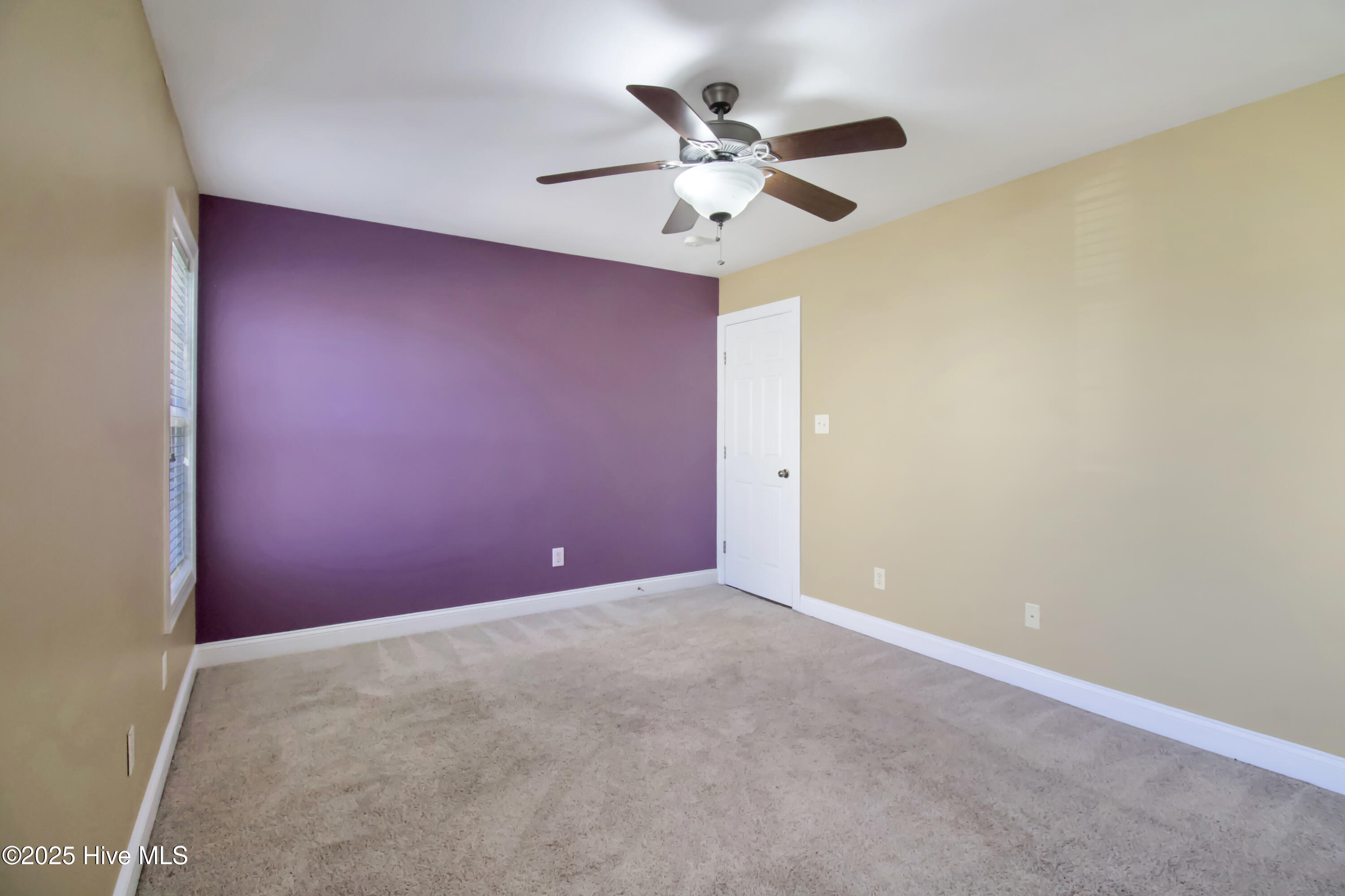 100538875 | Photo 22