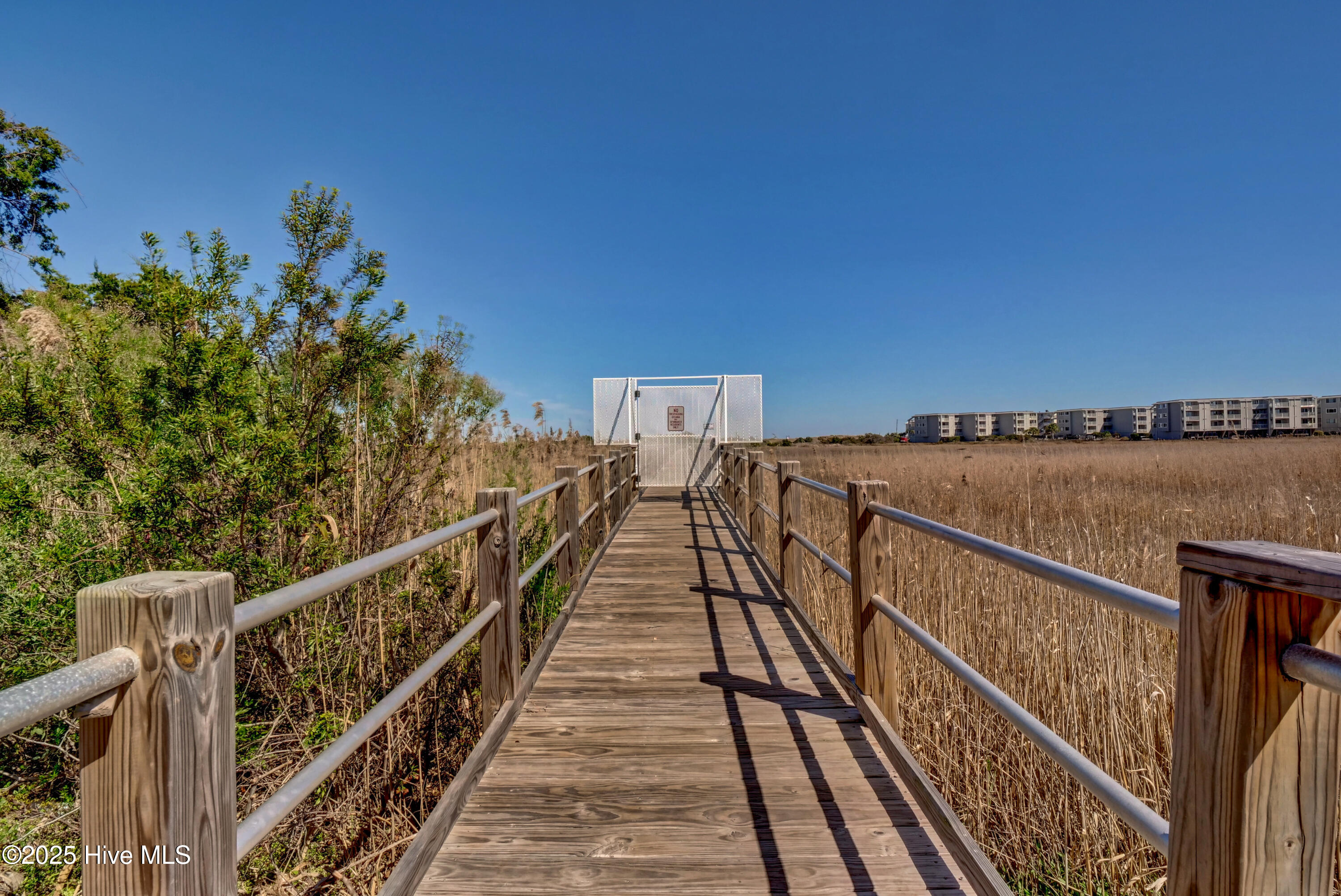 100516907 | Photo 48