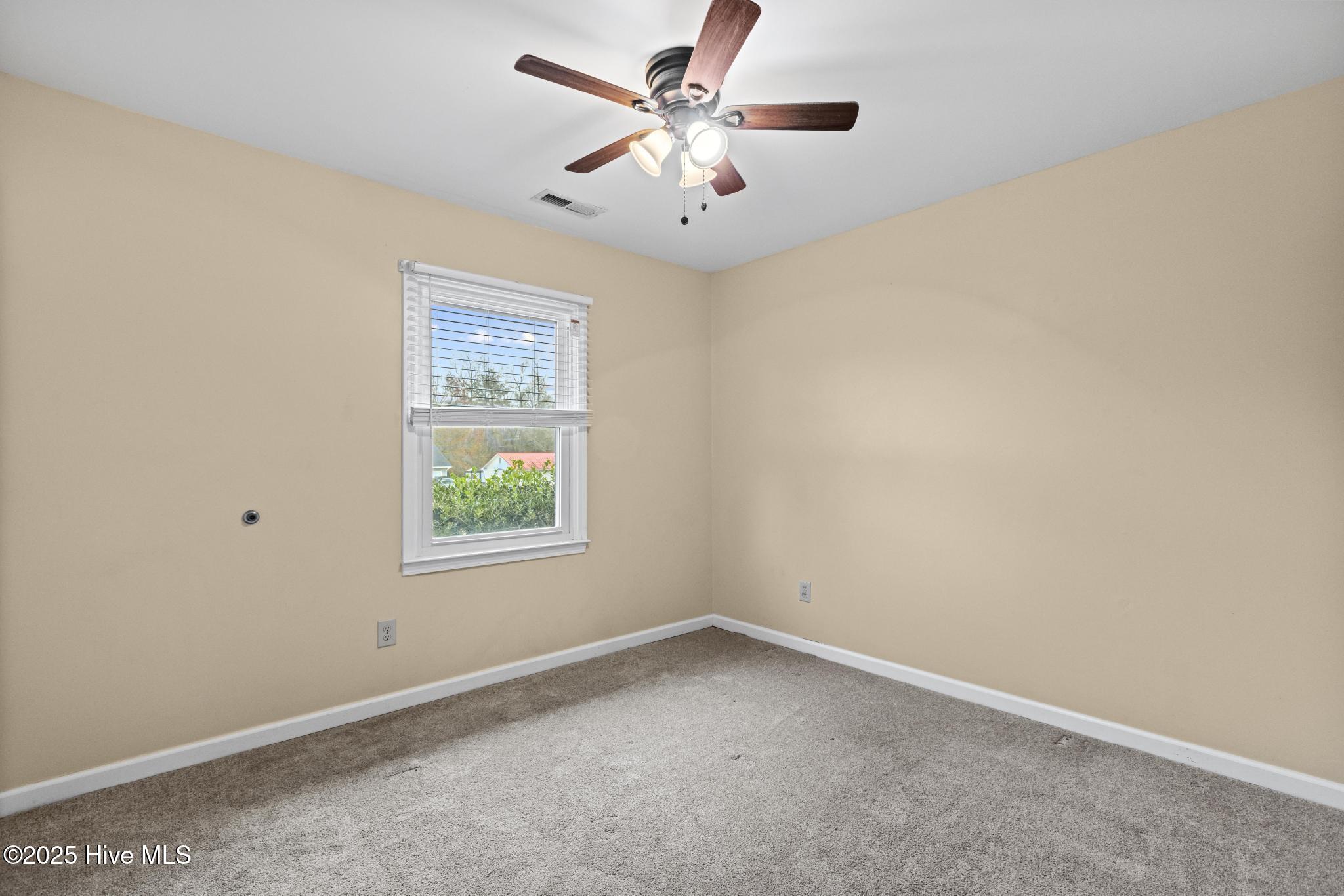 100546769 | Photo 27