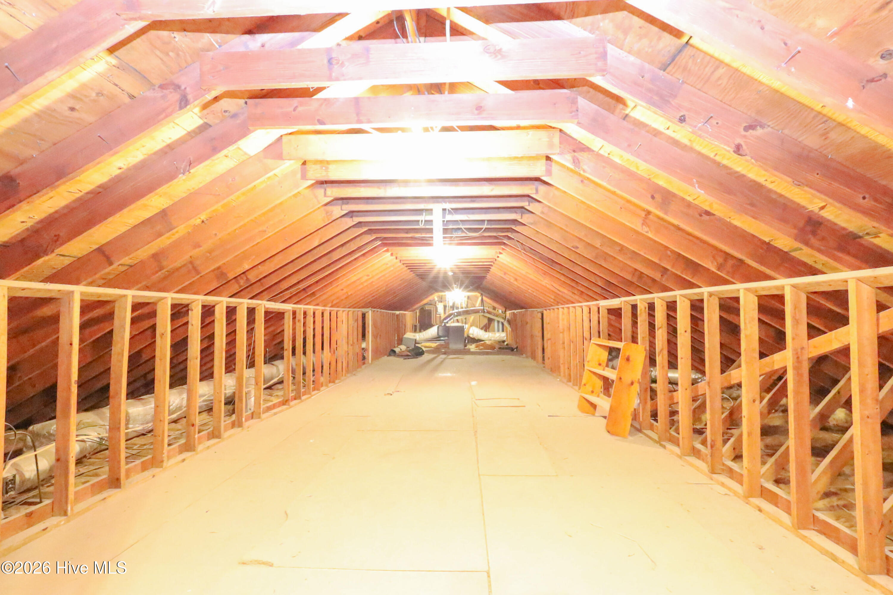 100556838 | Photo 40