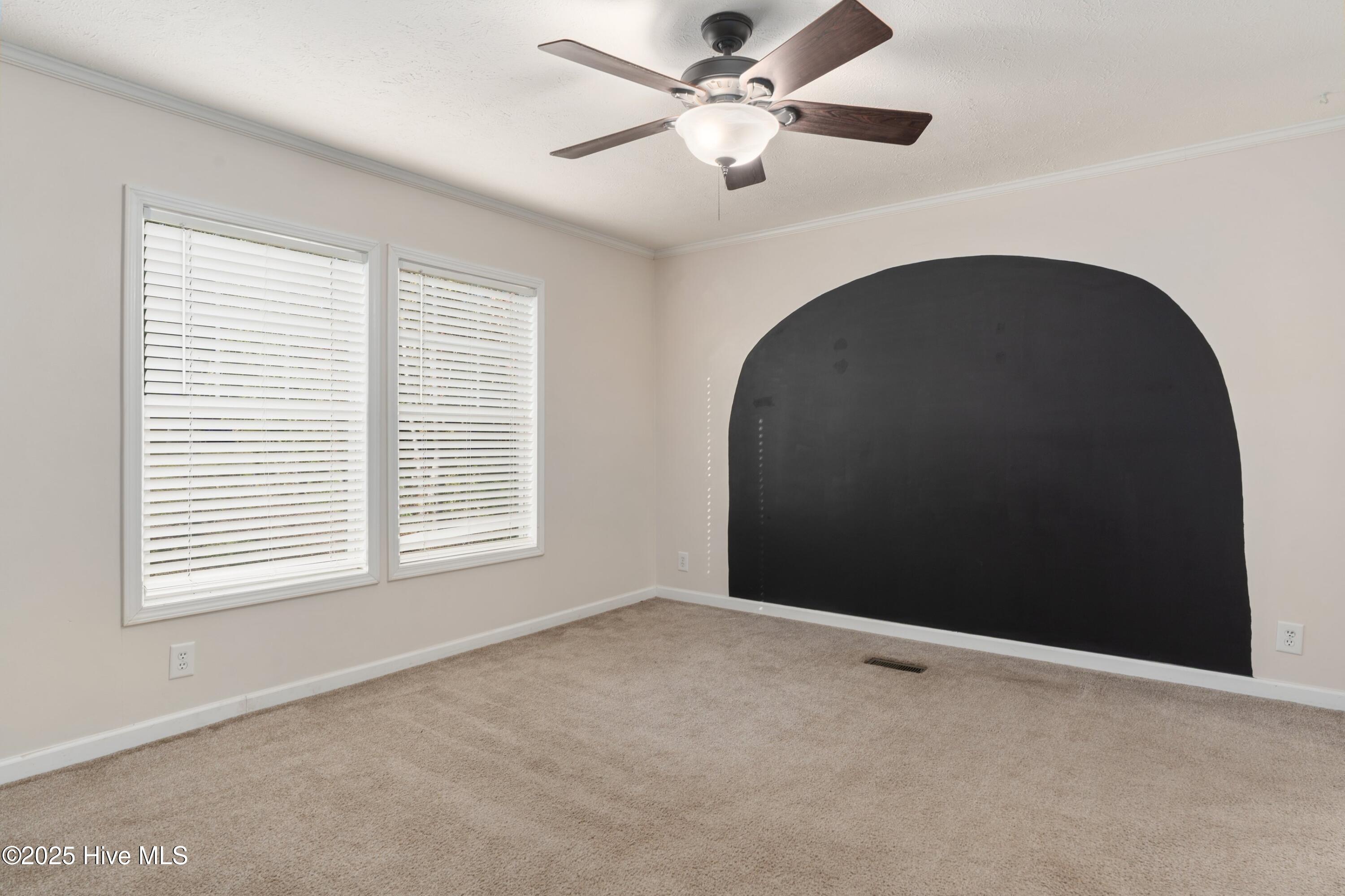 100538120 | Photo 11