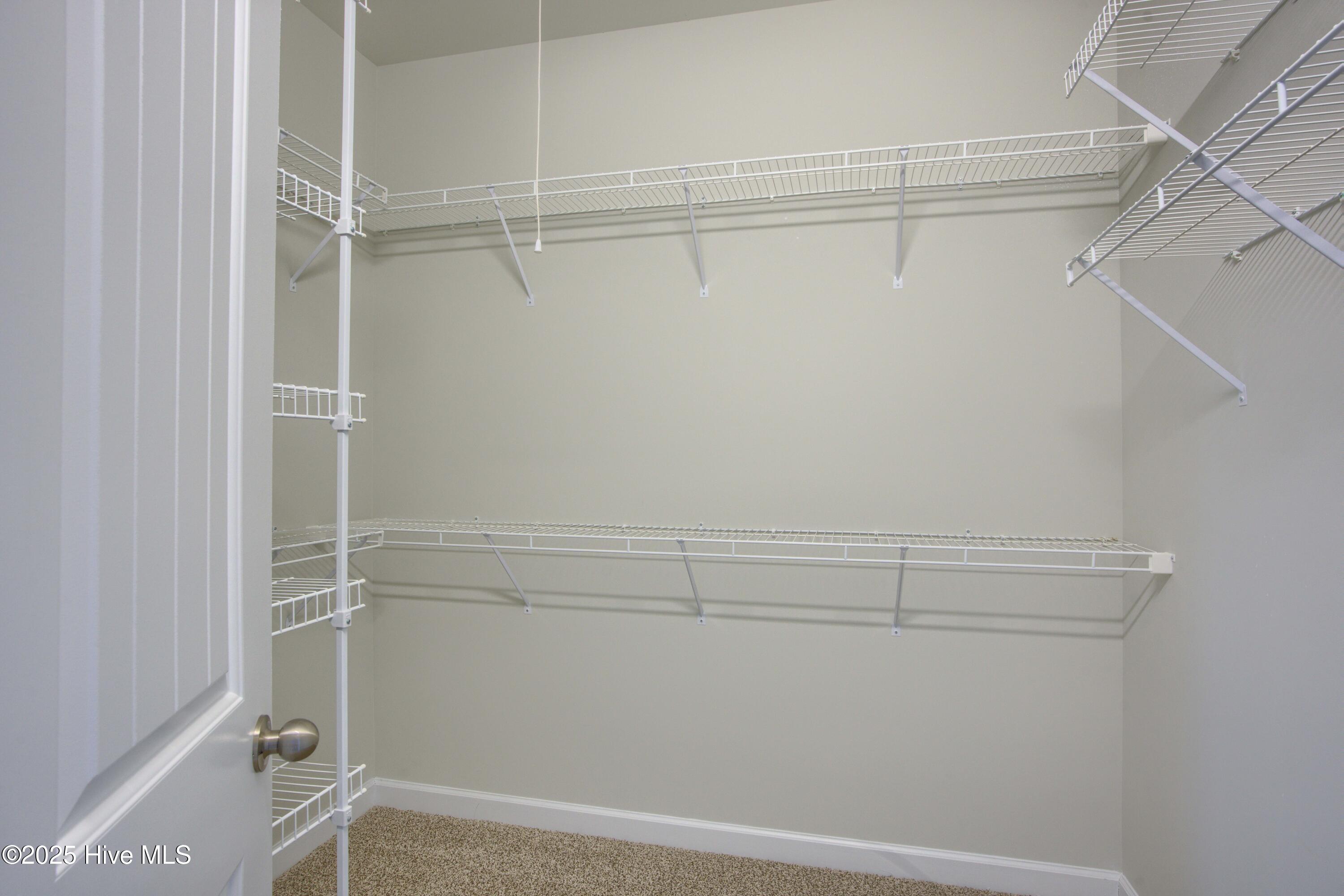 100527049 | Photo 23