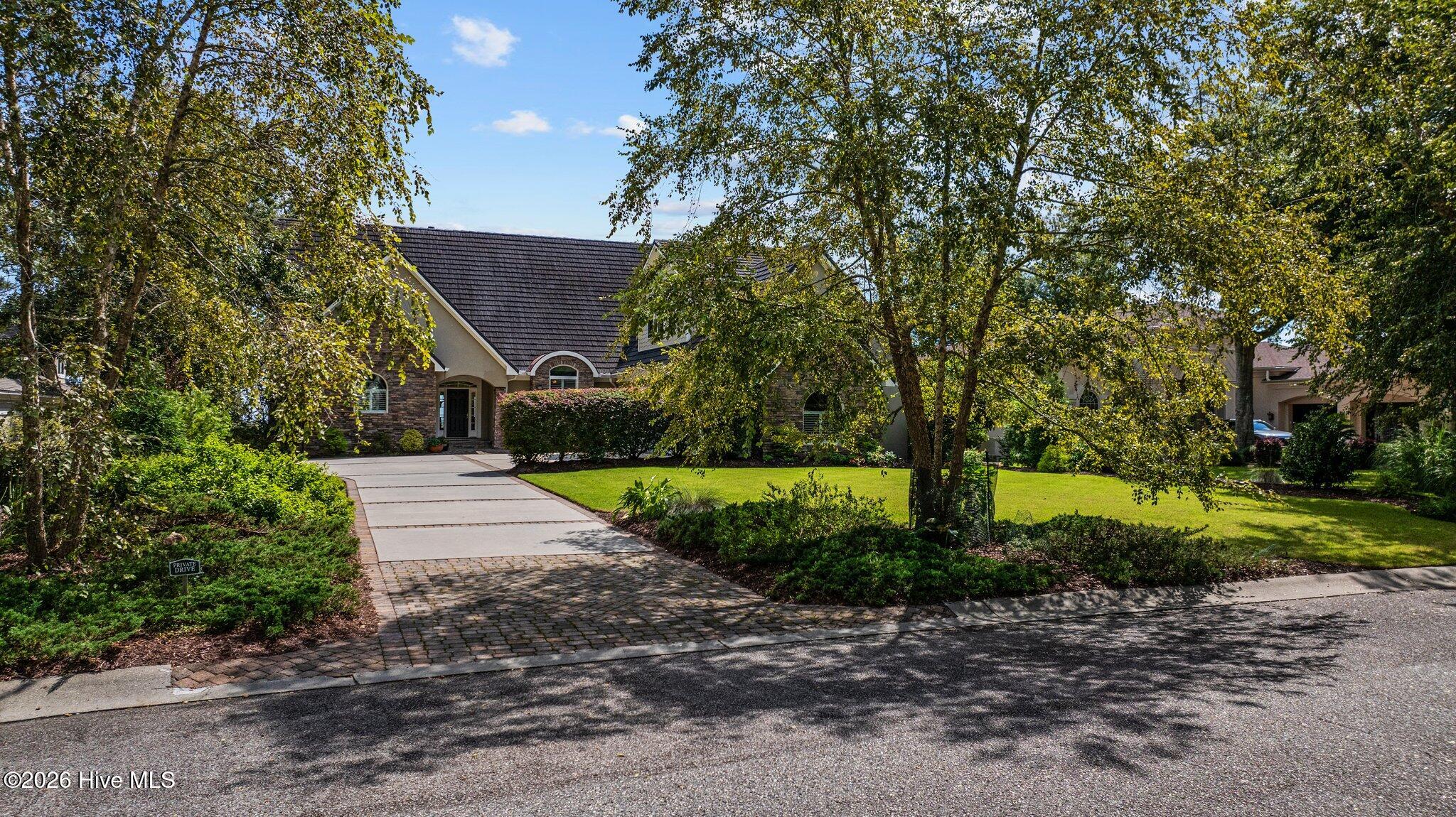 100553128 | Photo 82