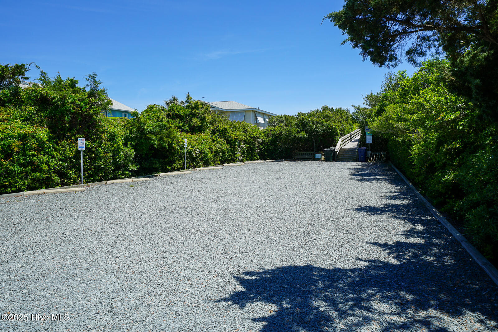 100519598 | Photo 48