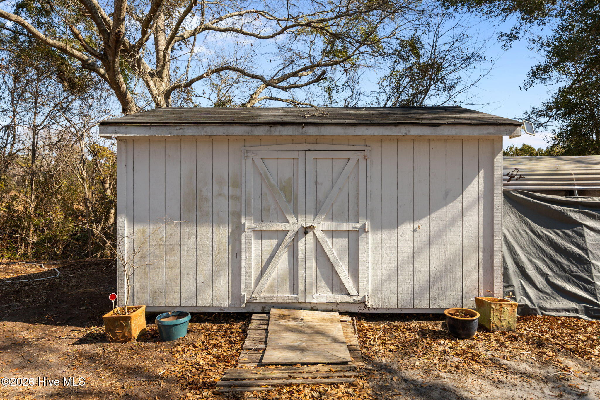 100554674 | Photo 31