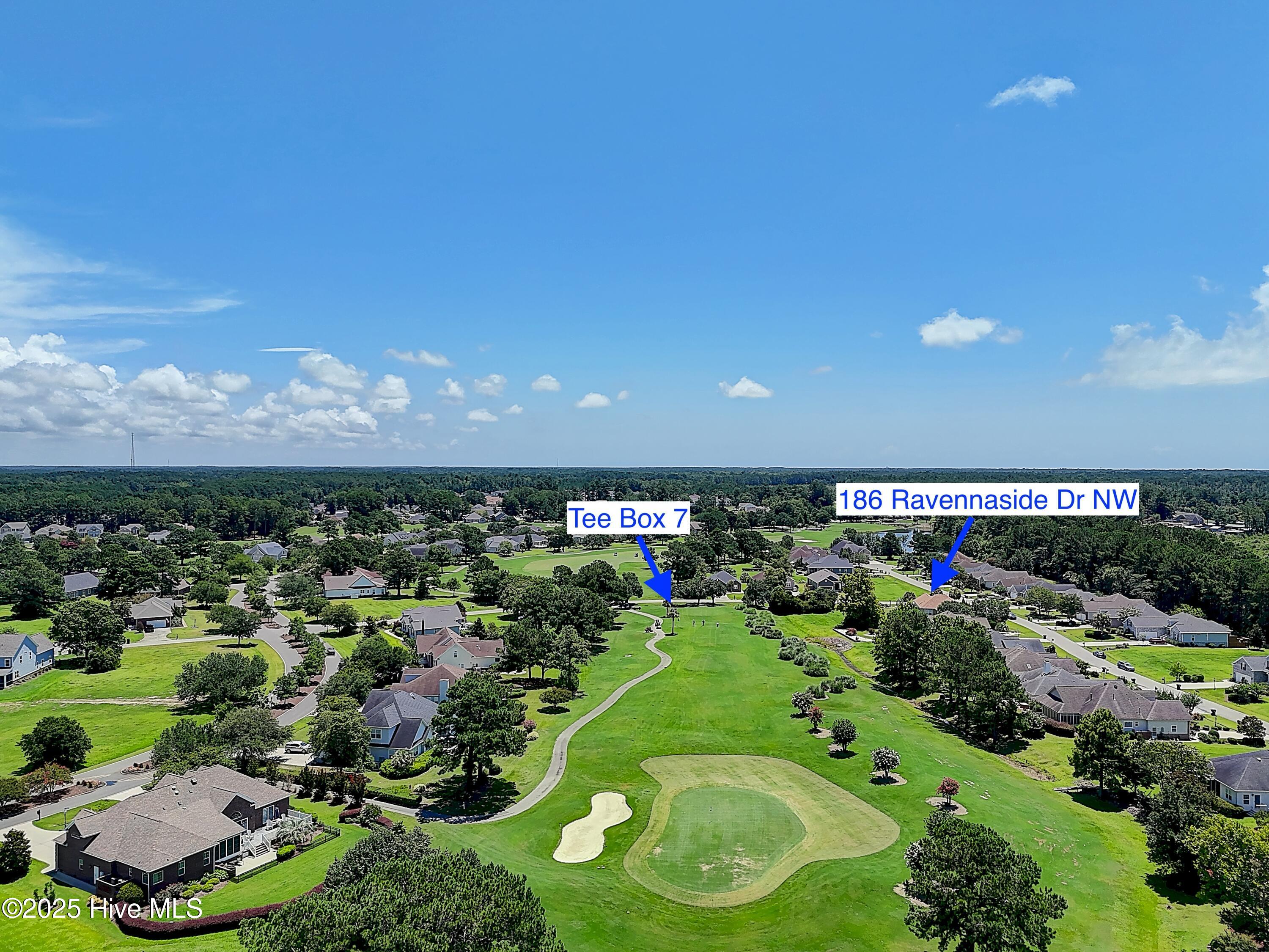 100518385 | Photo 43