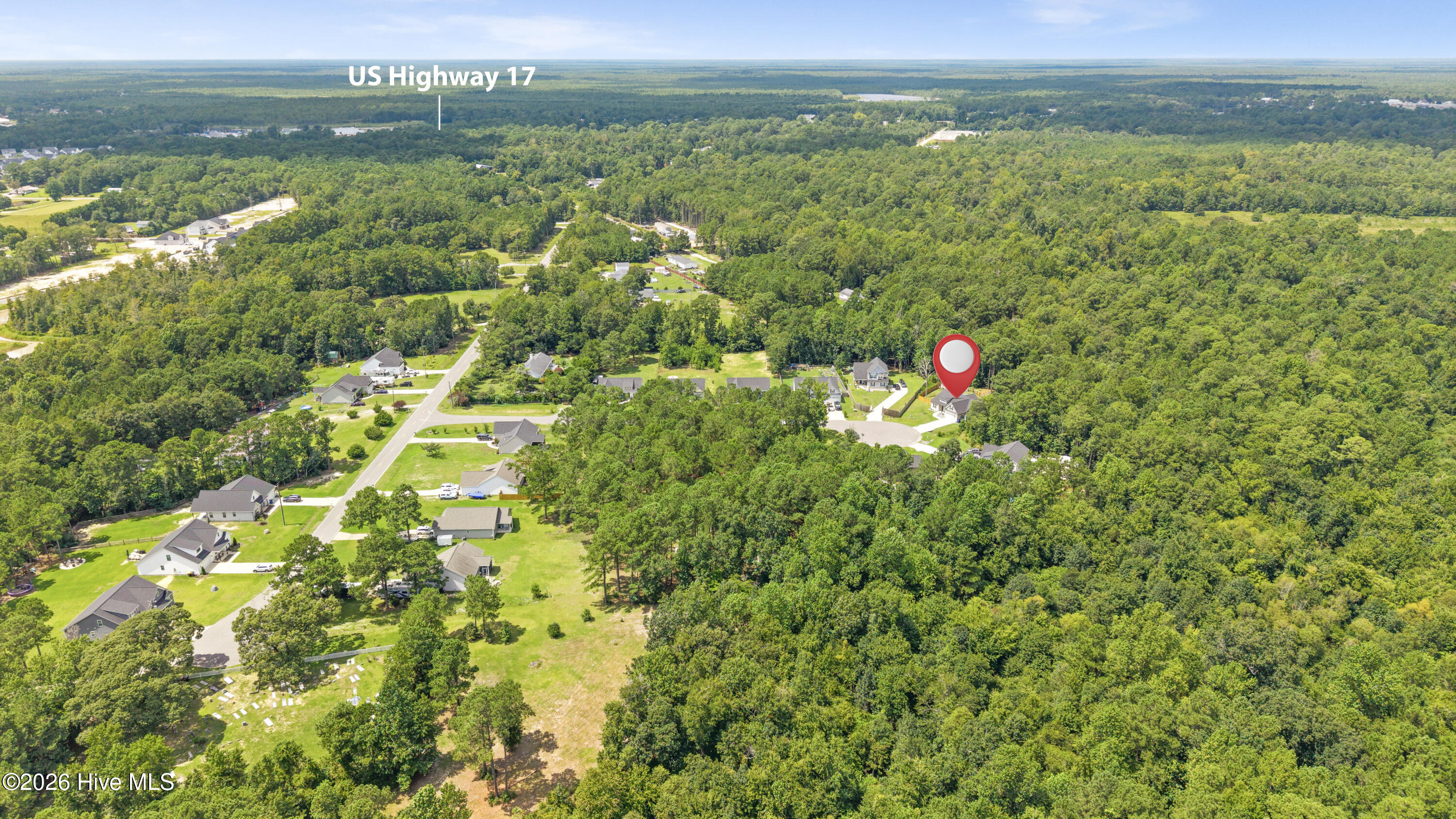 100555595 | Photo 46