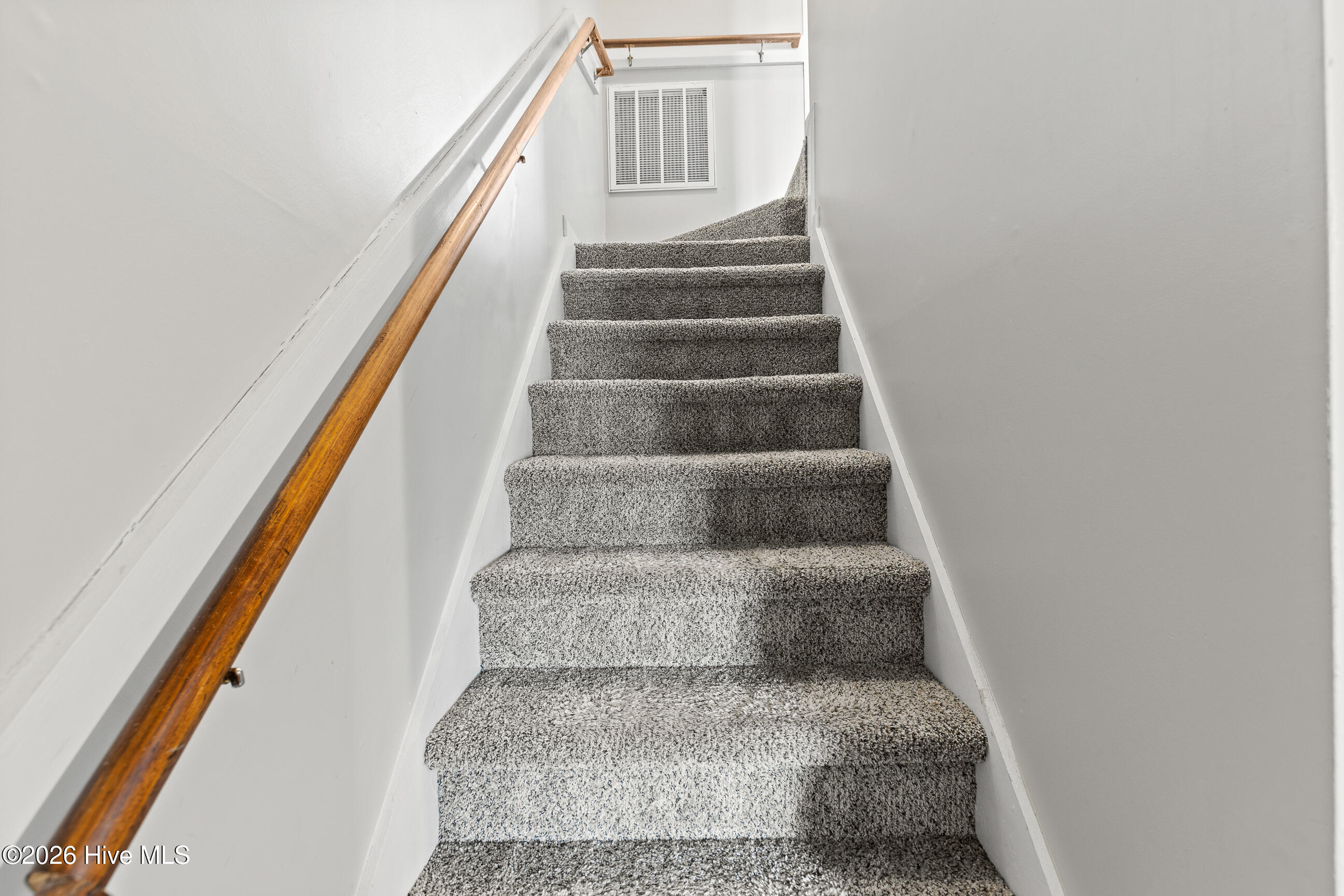 100558905 | Photo 12