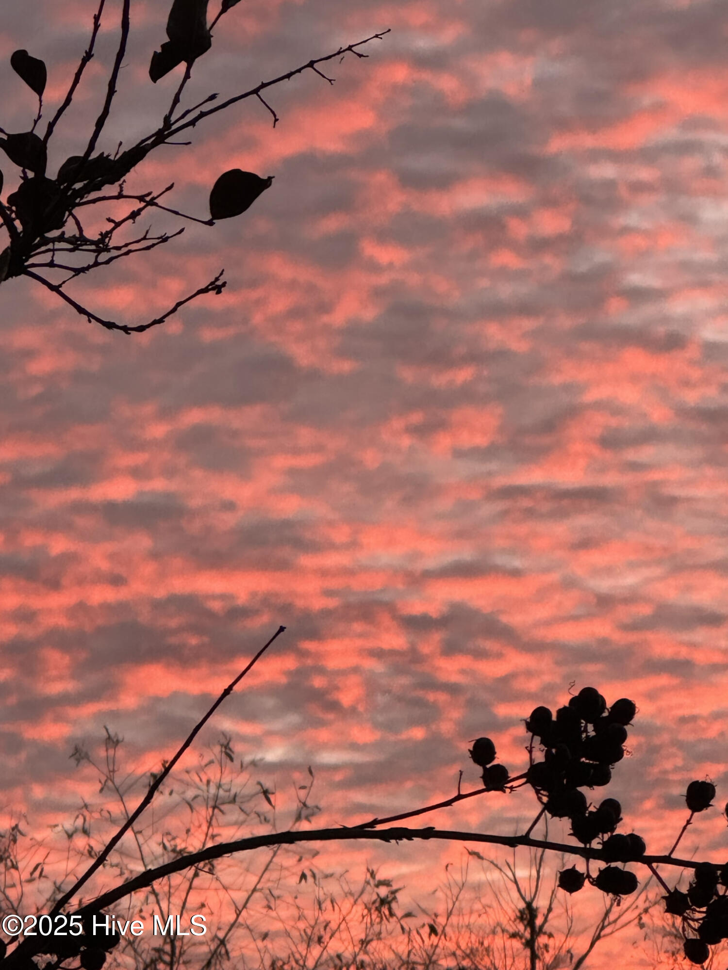 100497767 | Photo 14