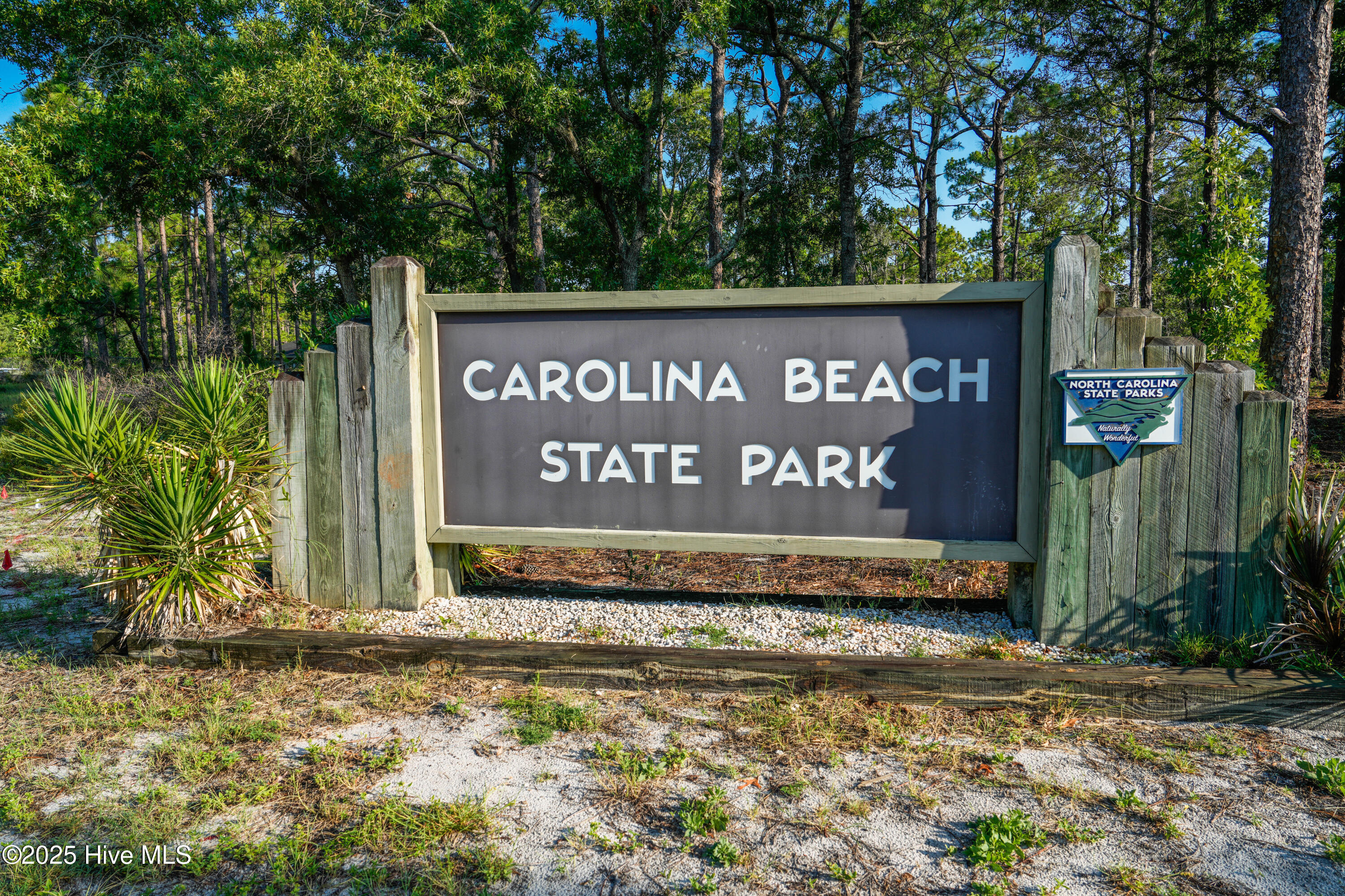 100494864 | Photo 50