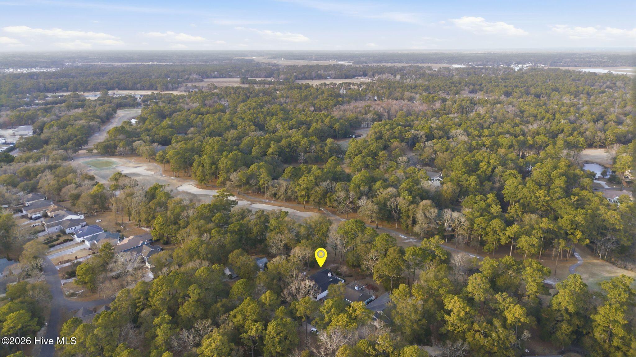 100555481 | Photo 81