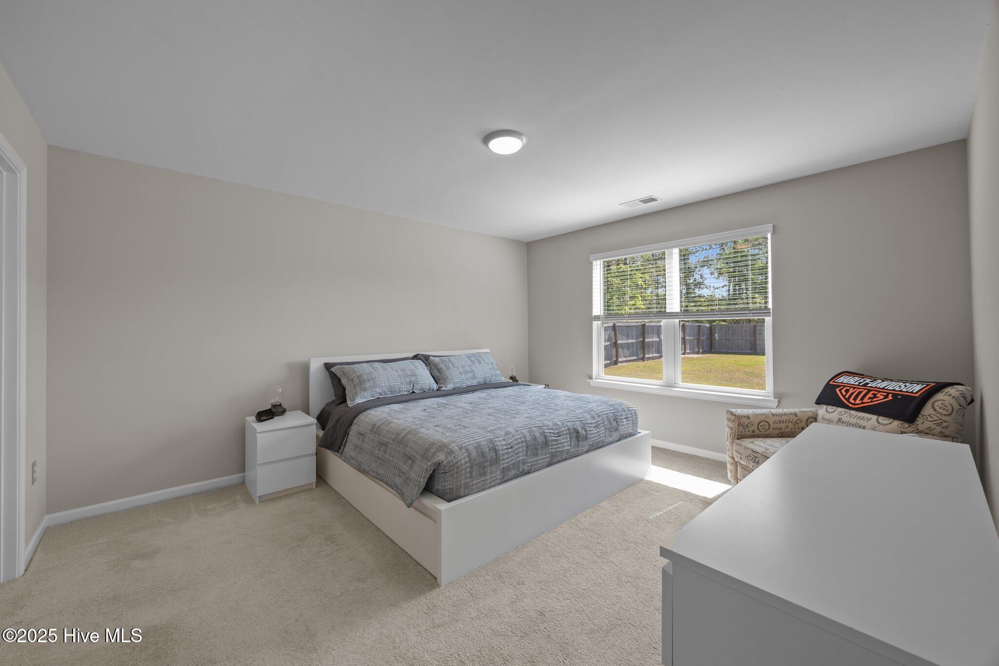 100538089 | Photo 18