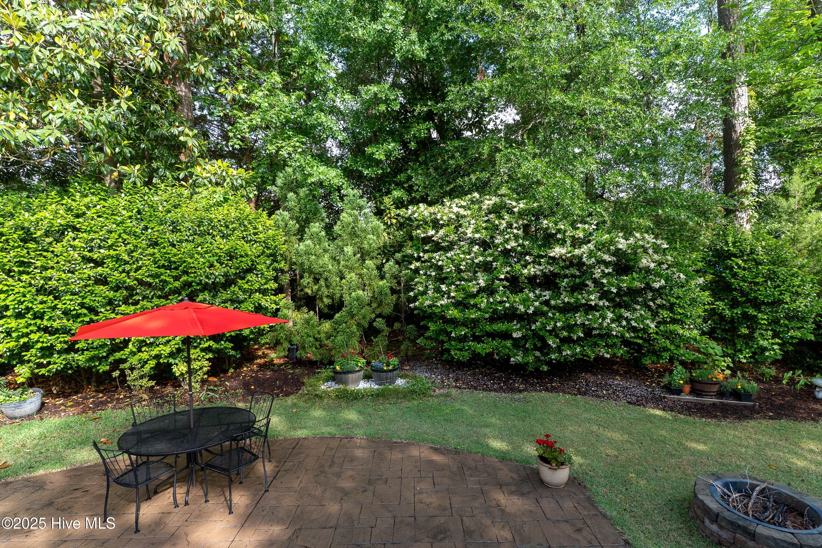 100549732 | Photo 37