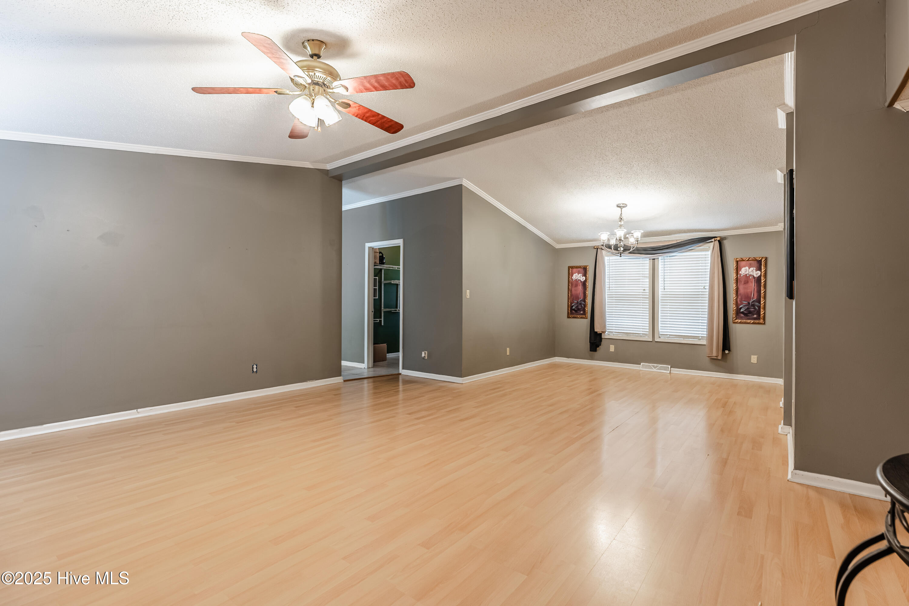 100524257 | Photo 17