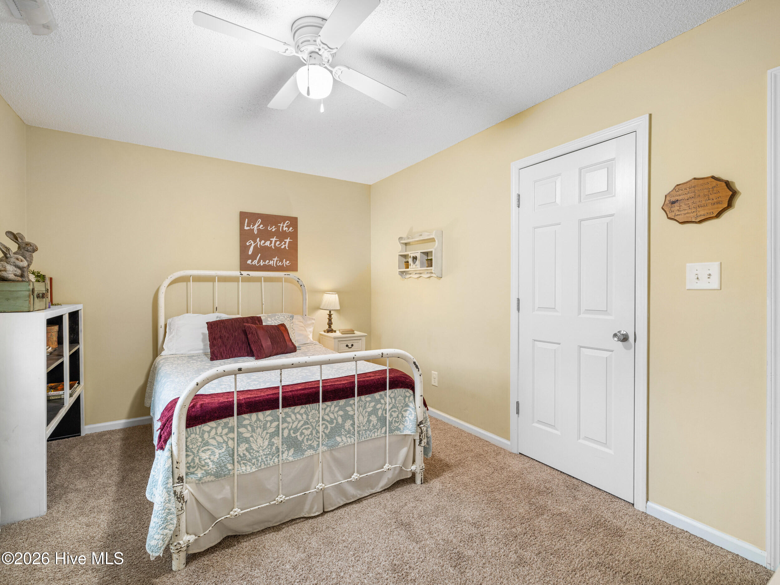 100556892 | Photo 22