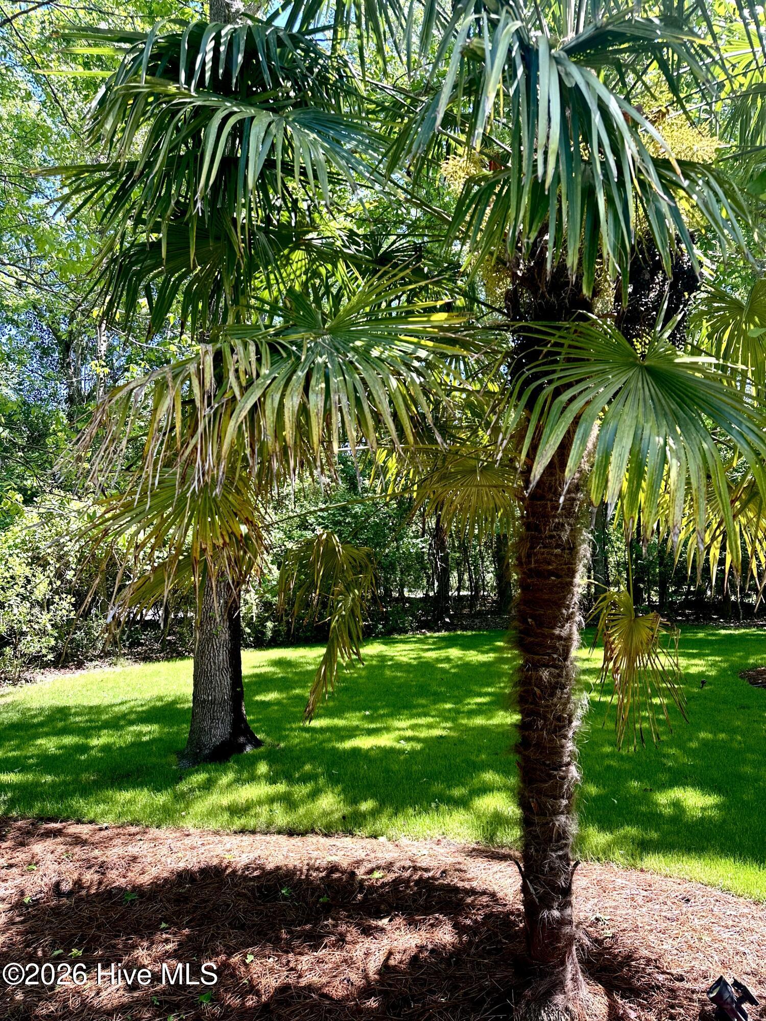 100569469 | Photo 65