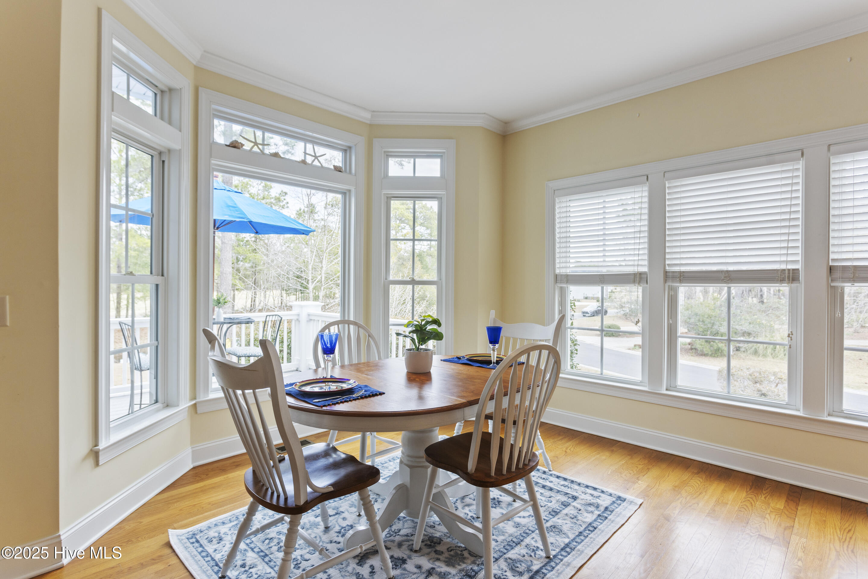 100493610 | Photo 28