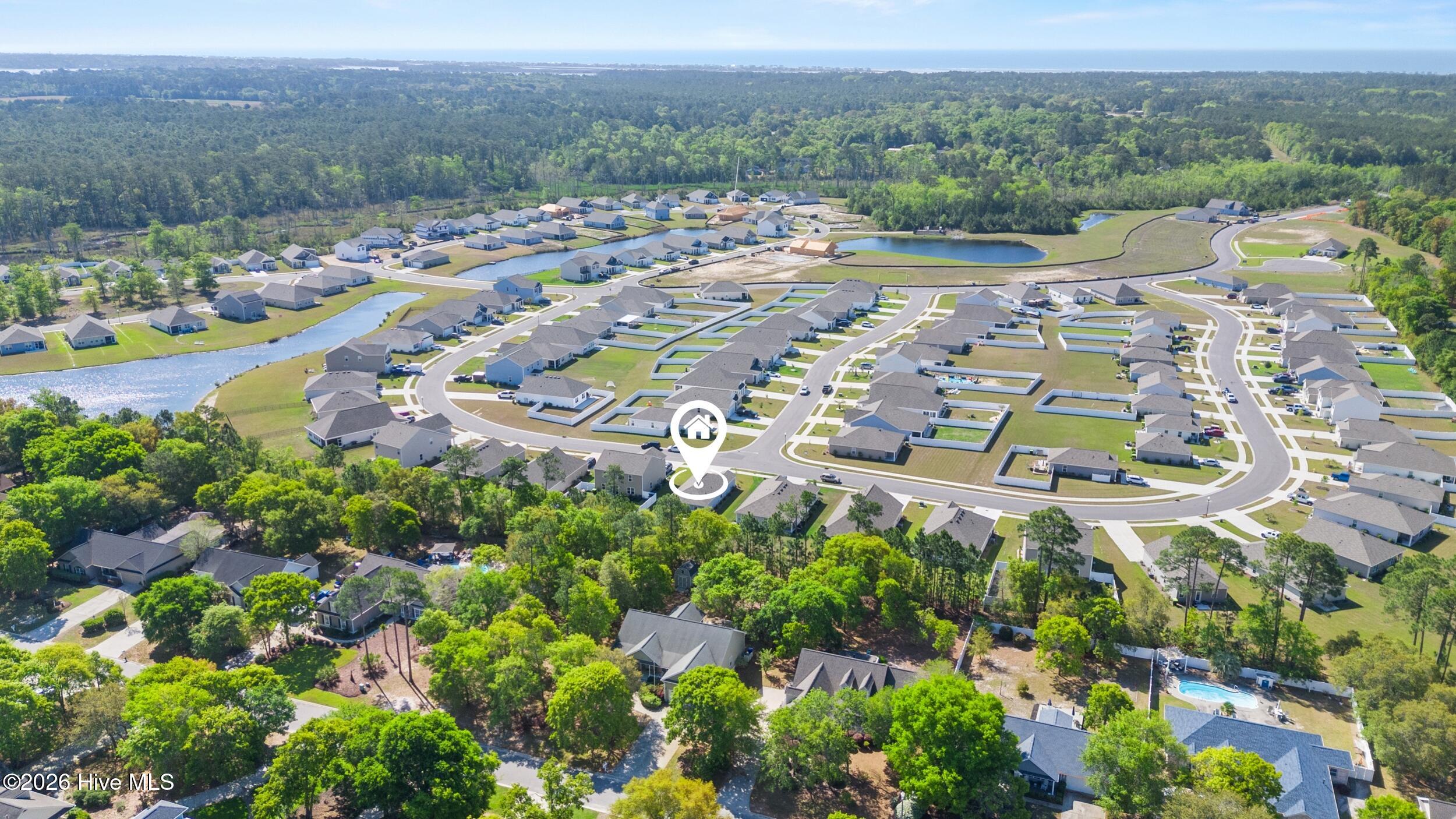 100567643 | Photo 52