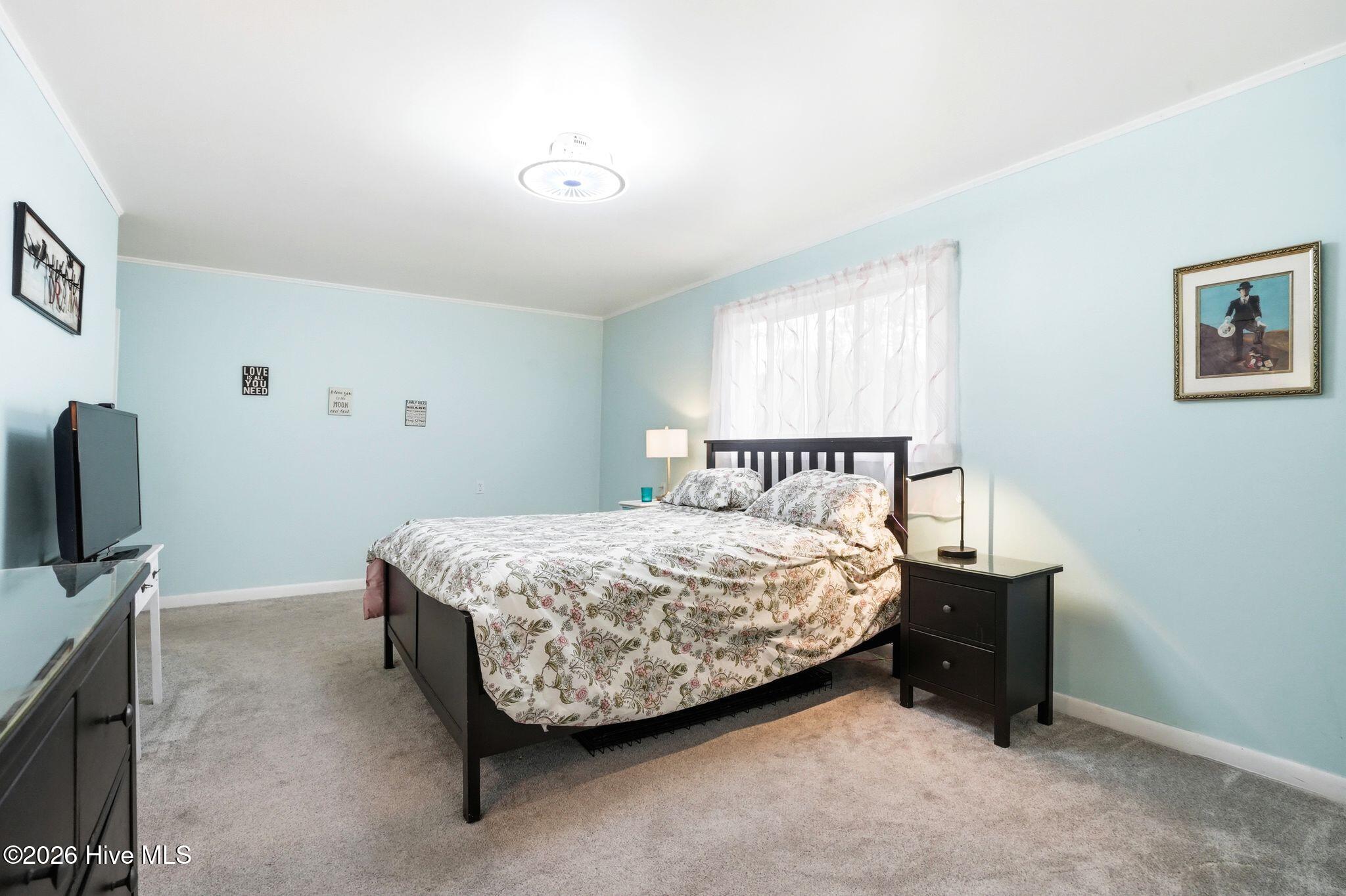 100565168 | Photo 27