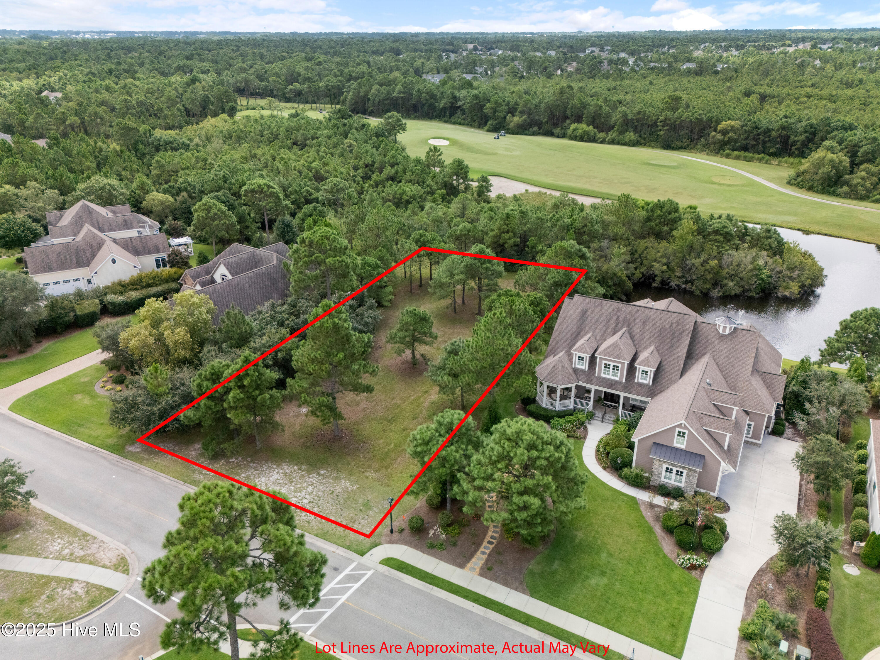 100569790 | Photo 14