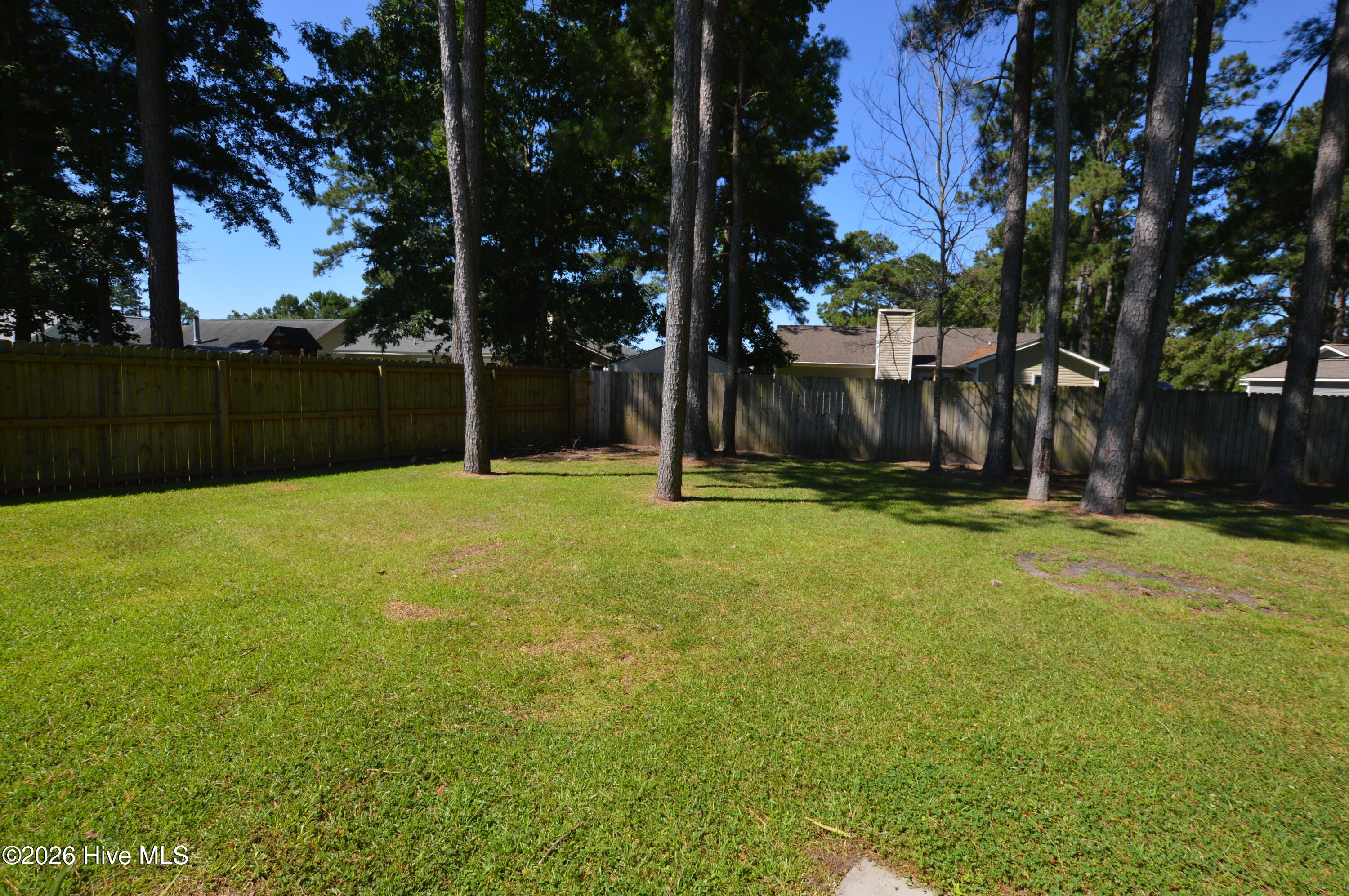 100568550 | Photo 20