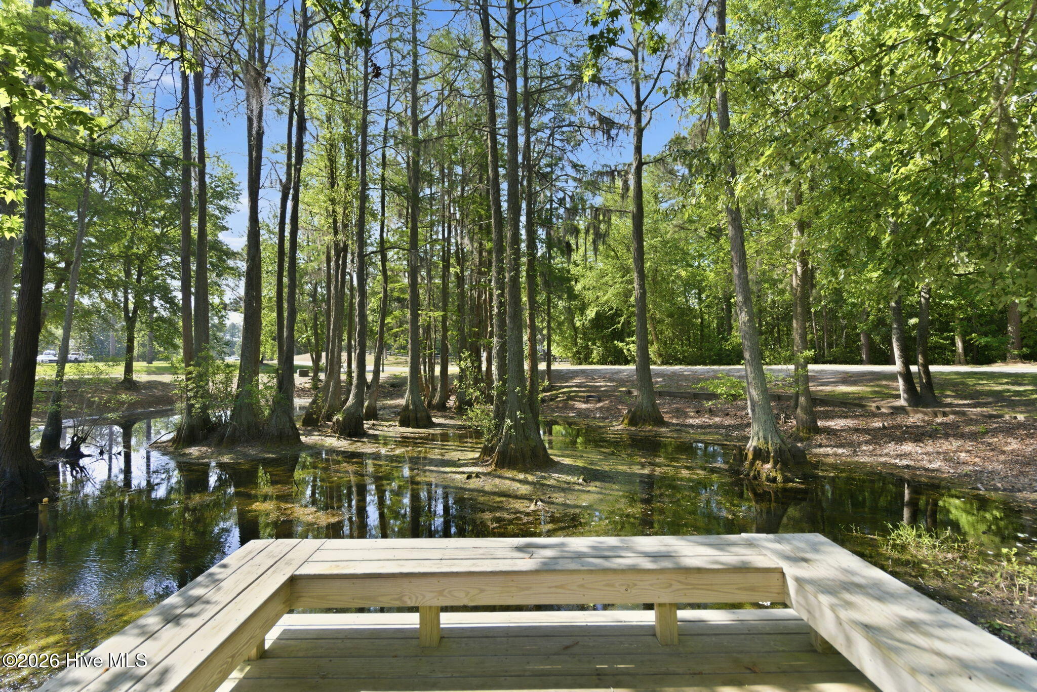 100570615 | Photo 65