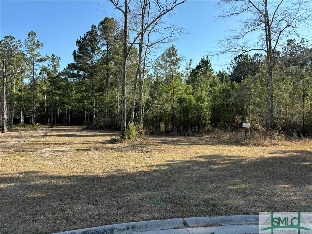 206 Lennox Place, Rincon, GA, 31326