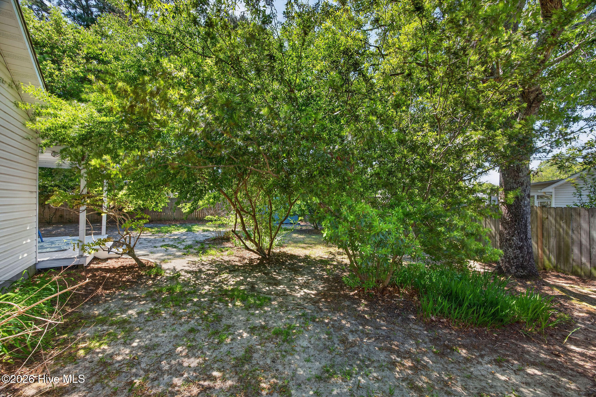 100567464 | Photo 32