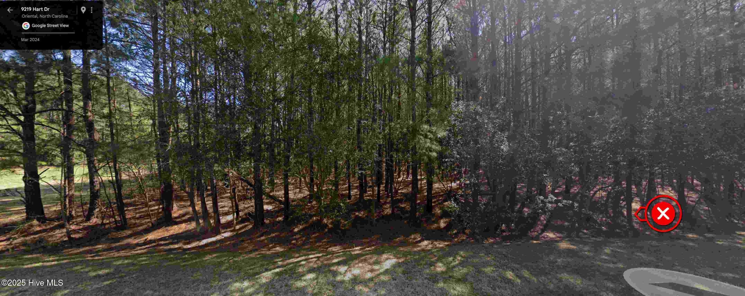 Street View March 2024