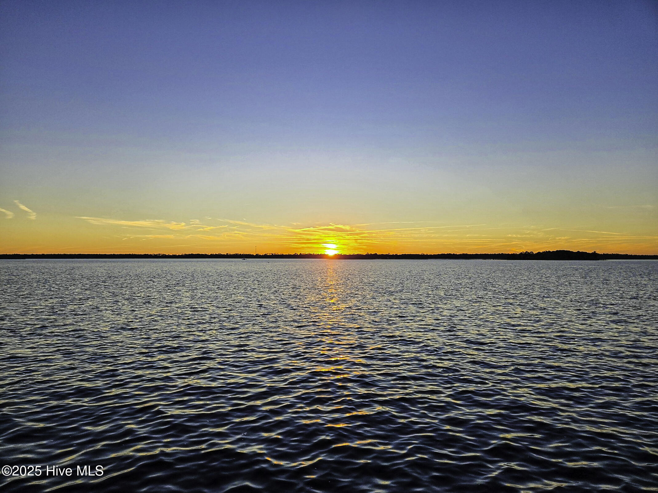 100539038 | Photo 78